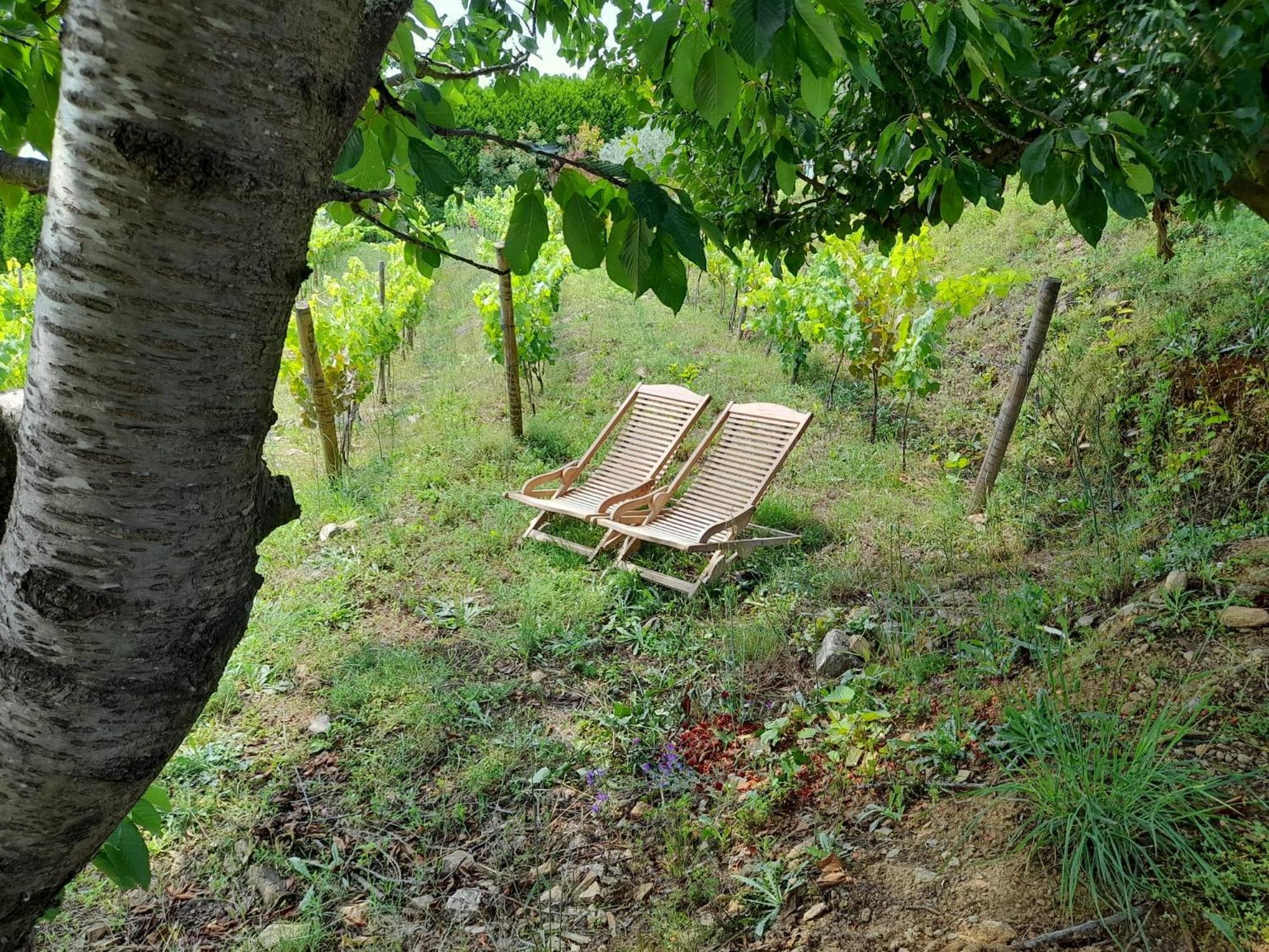 Quinta Manhas Douro Country house *