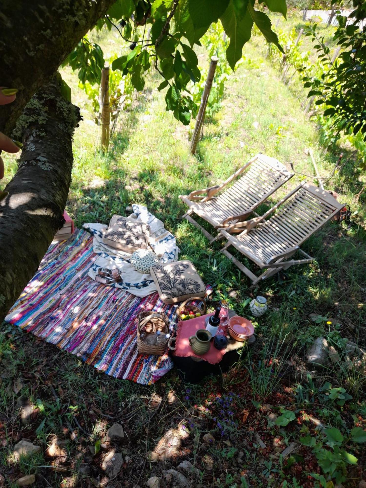 Quinta Manhas Douro Provesende