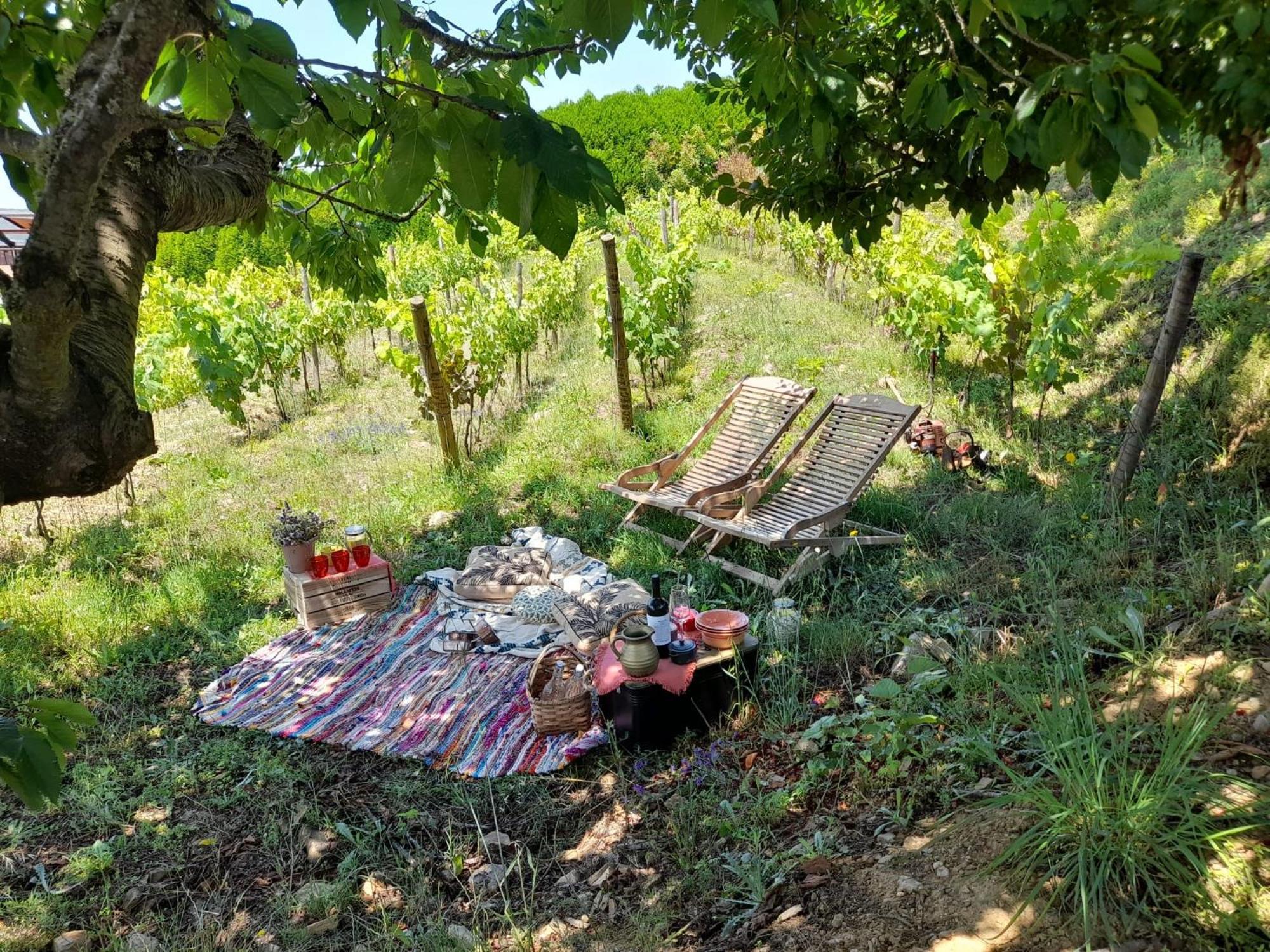 Country house Quinta Manhas Douro Provesende