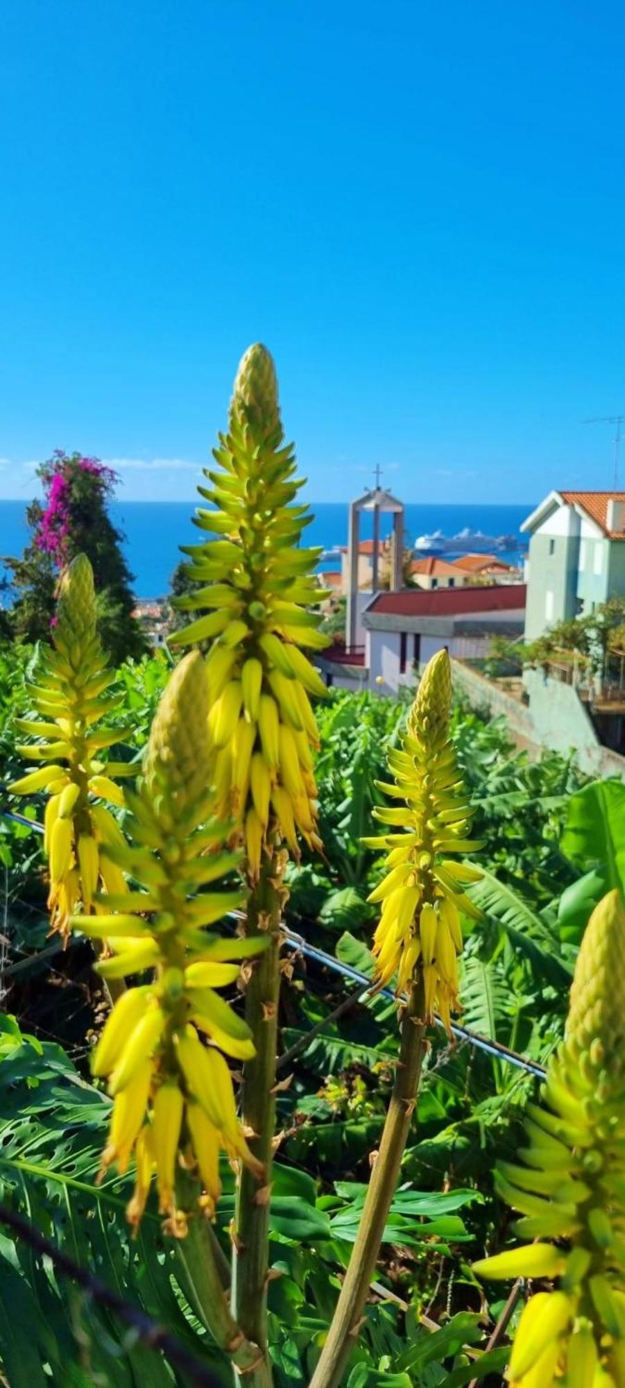 Holiday home Catanho