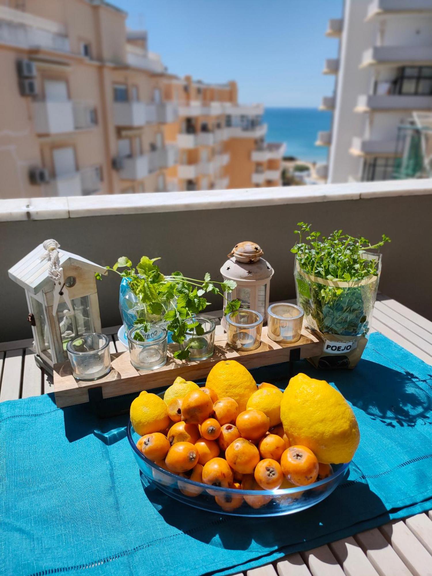 Cantinho Do Sol - Sea View, Quiet, Cozy And Relaxing Flat Apartamento *