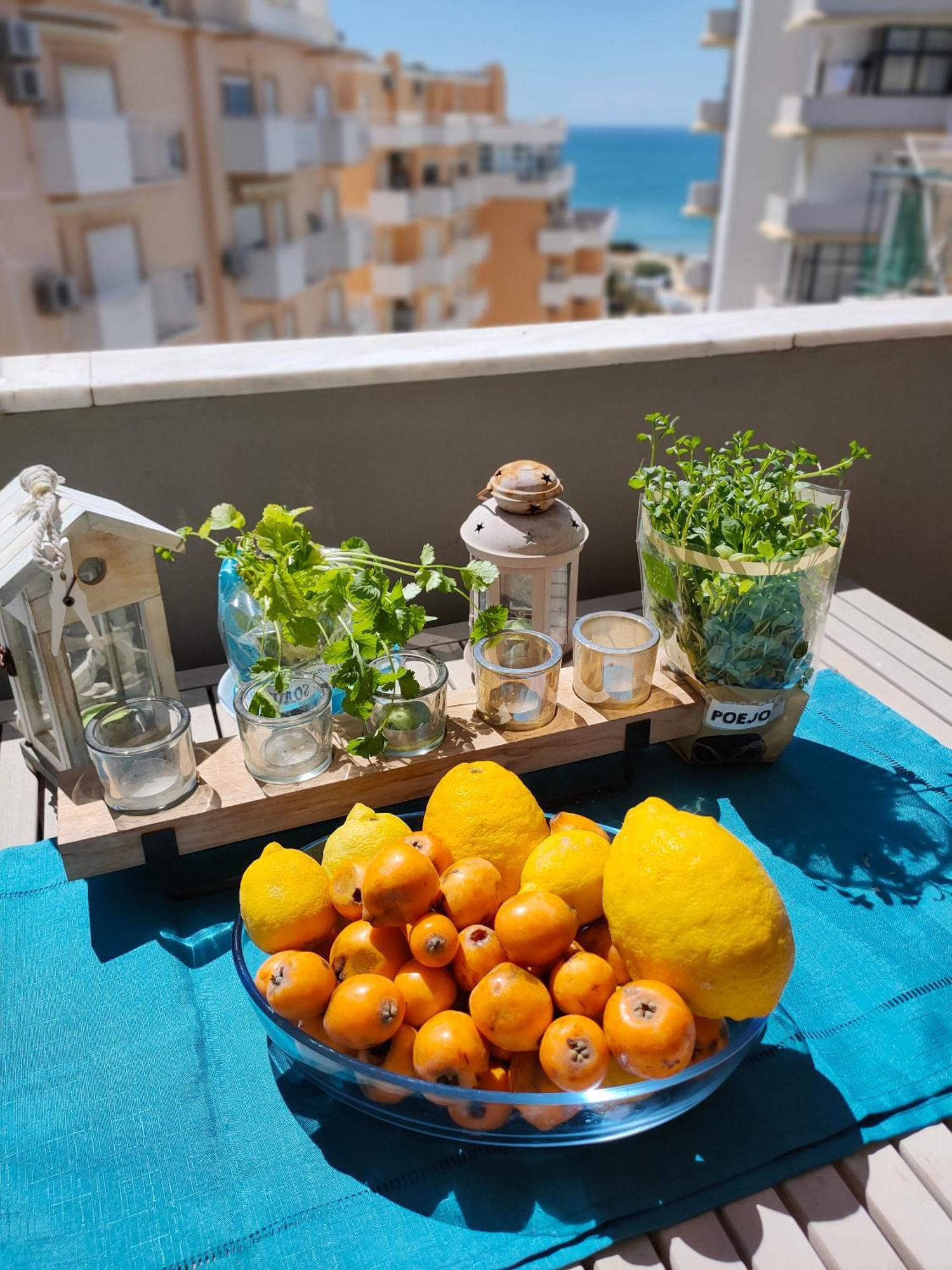 Cantinho Do Sol - Sea View, Quiet, Cozy And Relaxing Flat Apartamento *