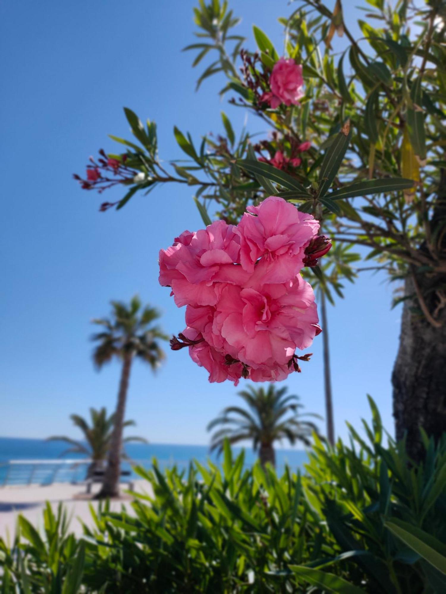 Cantinho Do Sol - Sea View, Quiet, Cozy And Relaxing Flat Apartamento