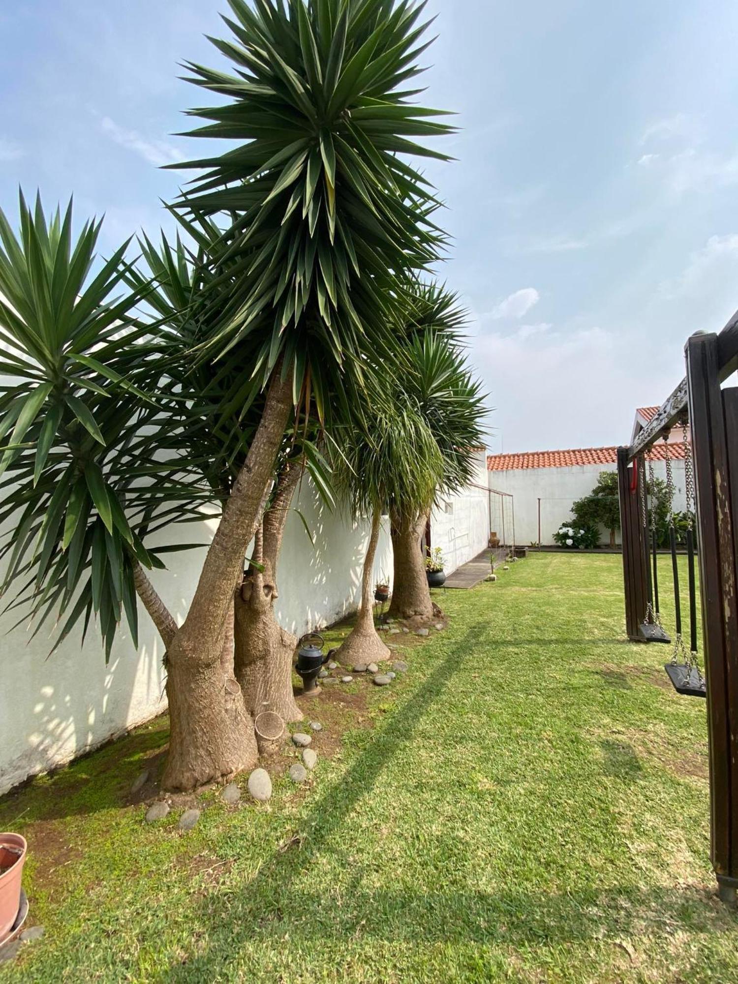 Sao Joao Aparthotel 2*