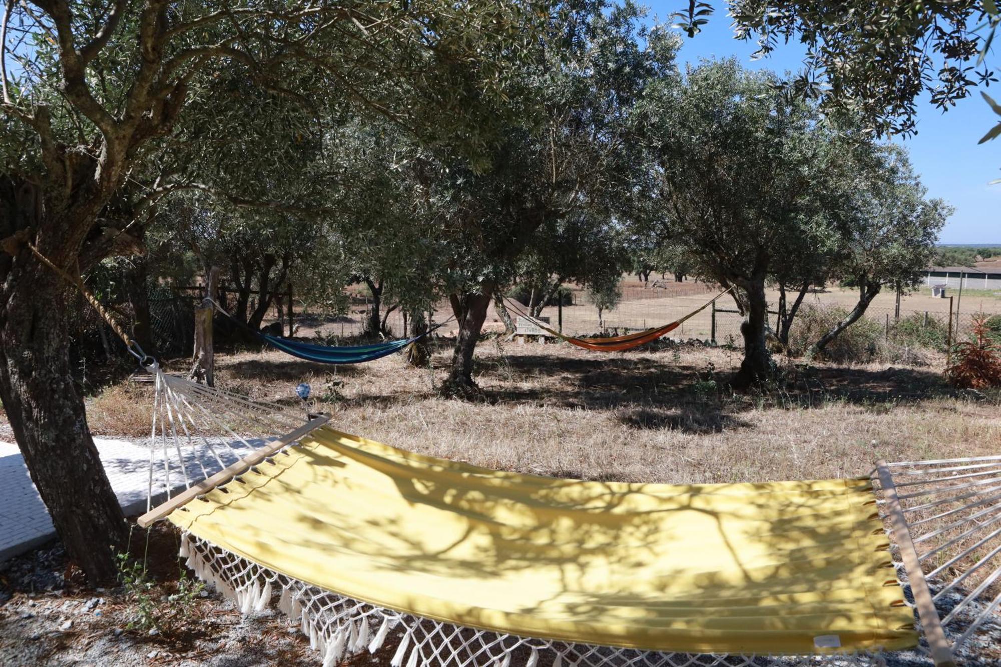 Vakantiehuis Monte Da Masmorra De Baixo-casa Alentejana
