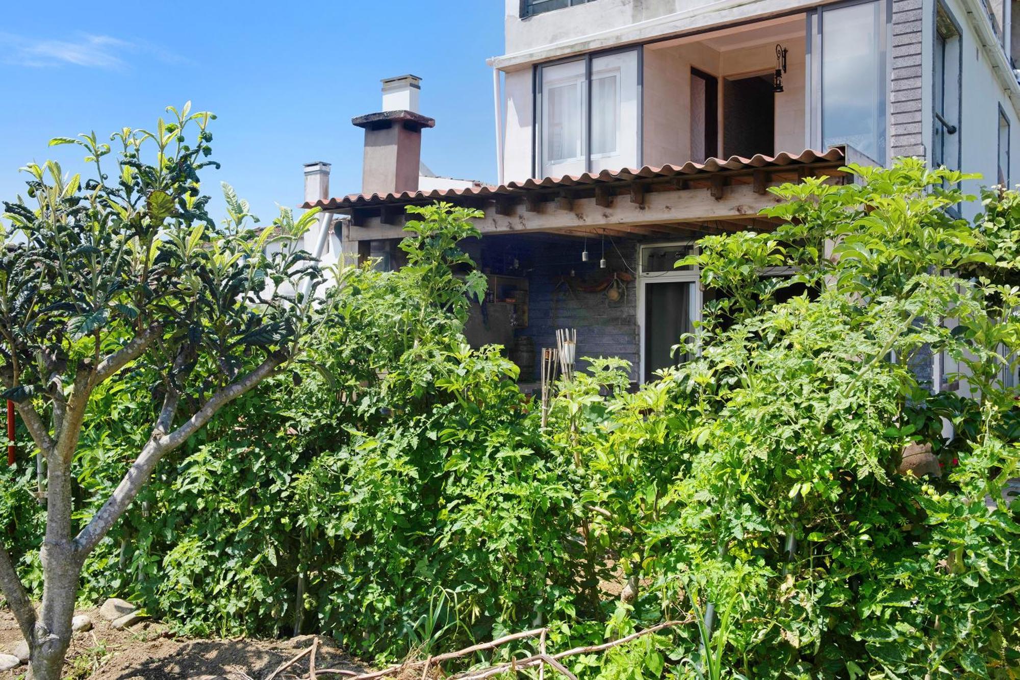 Holiday home Santa Cruz Lagoa (Azores)
