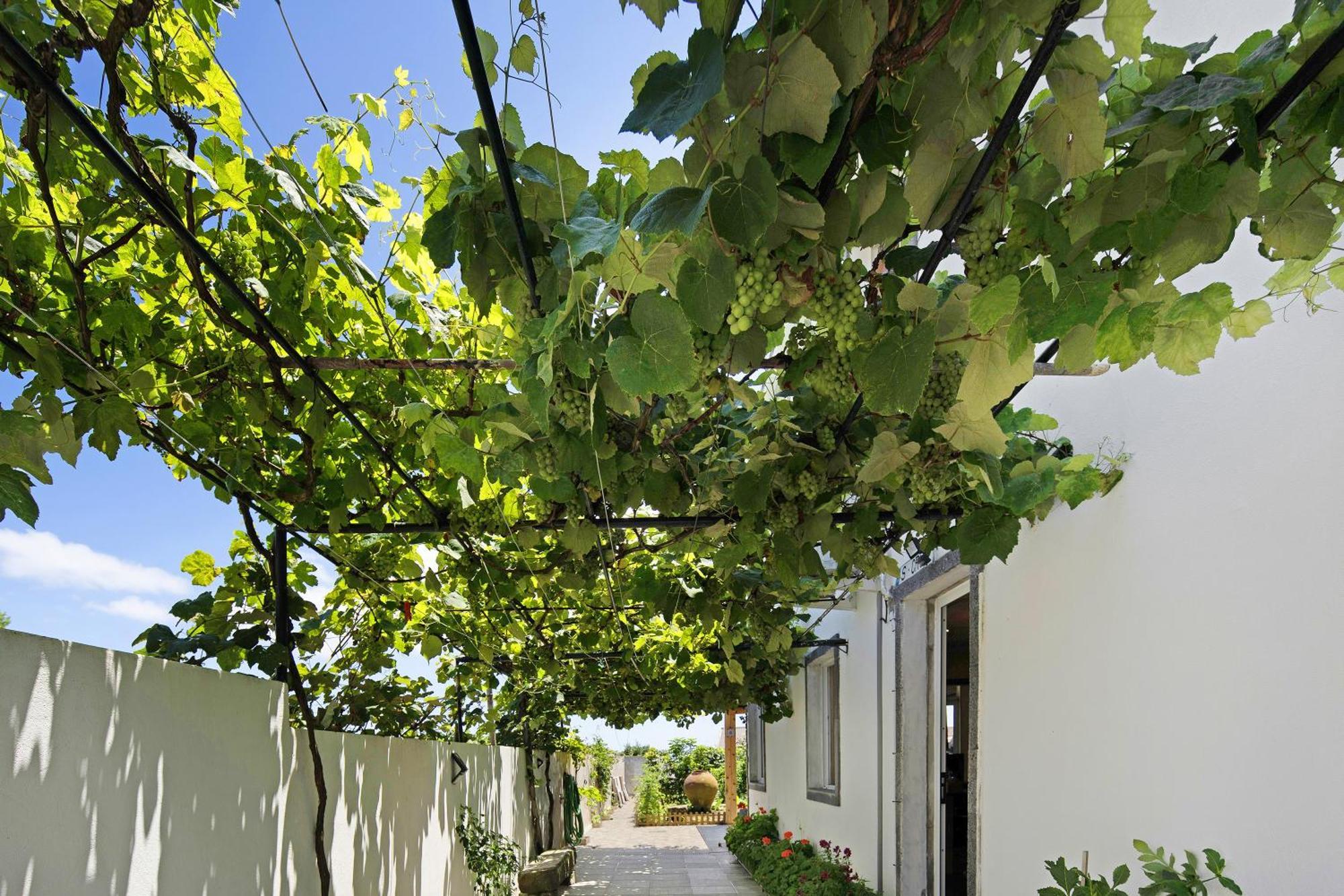 Holiday home Santa Cruz Lagoa (Azores)