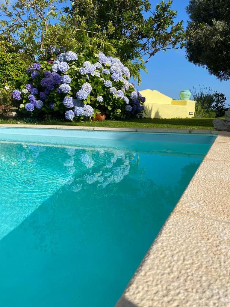 Casa De Holiday home Prazeres