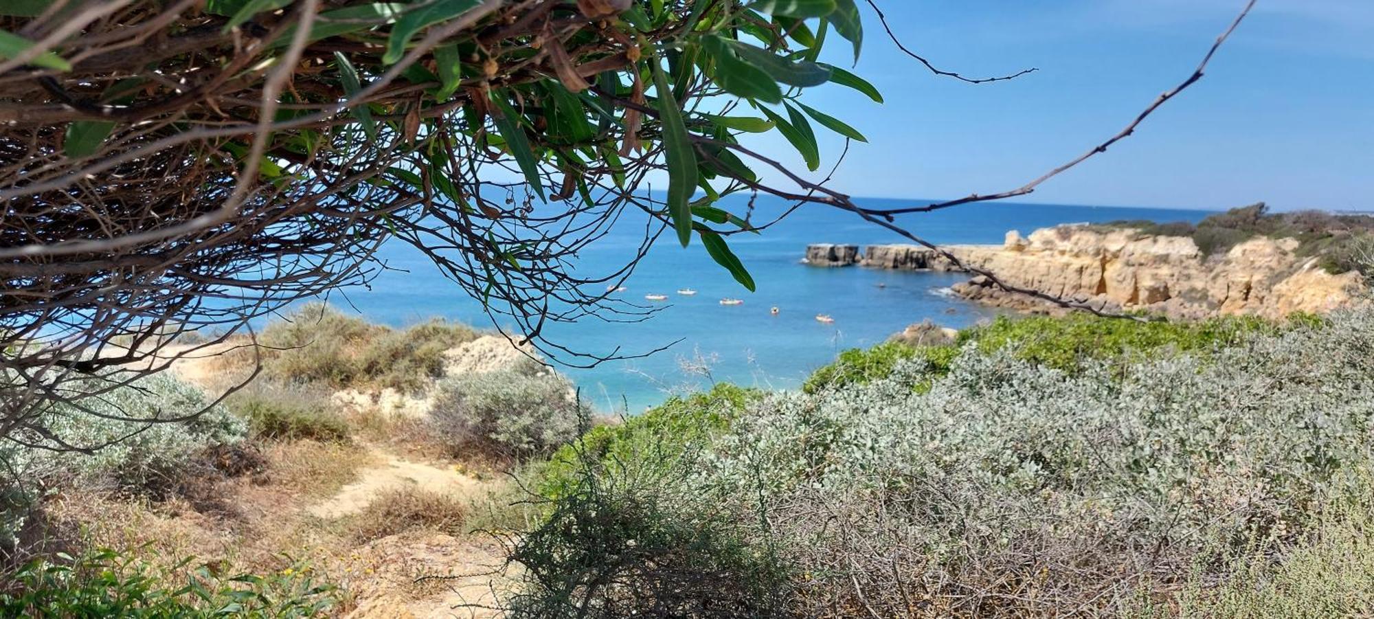 Baia Village - Do Castelo - Gale - Apartamento *