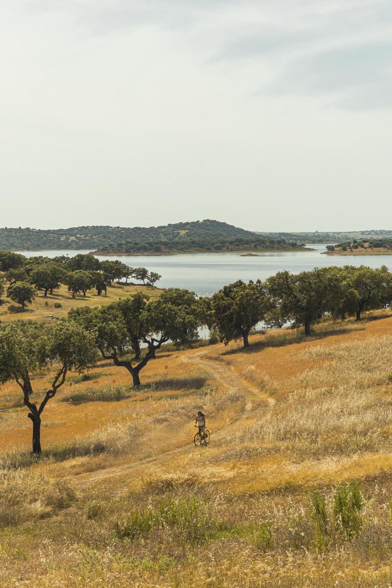 Herdade Dos Delgados Mourão