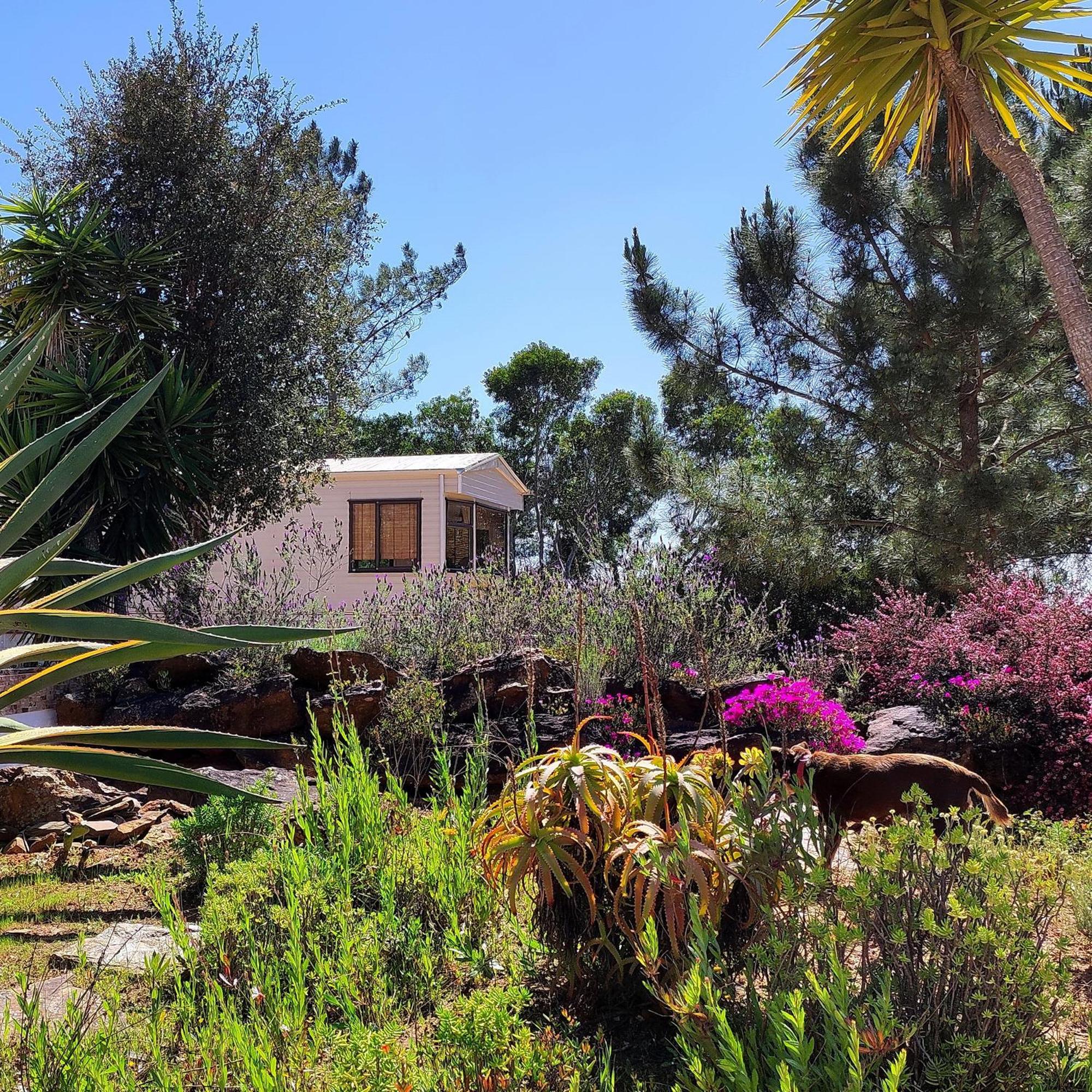 Holiday home Casa Pavao