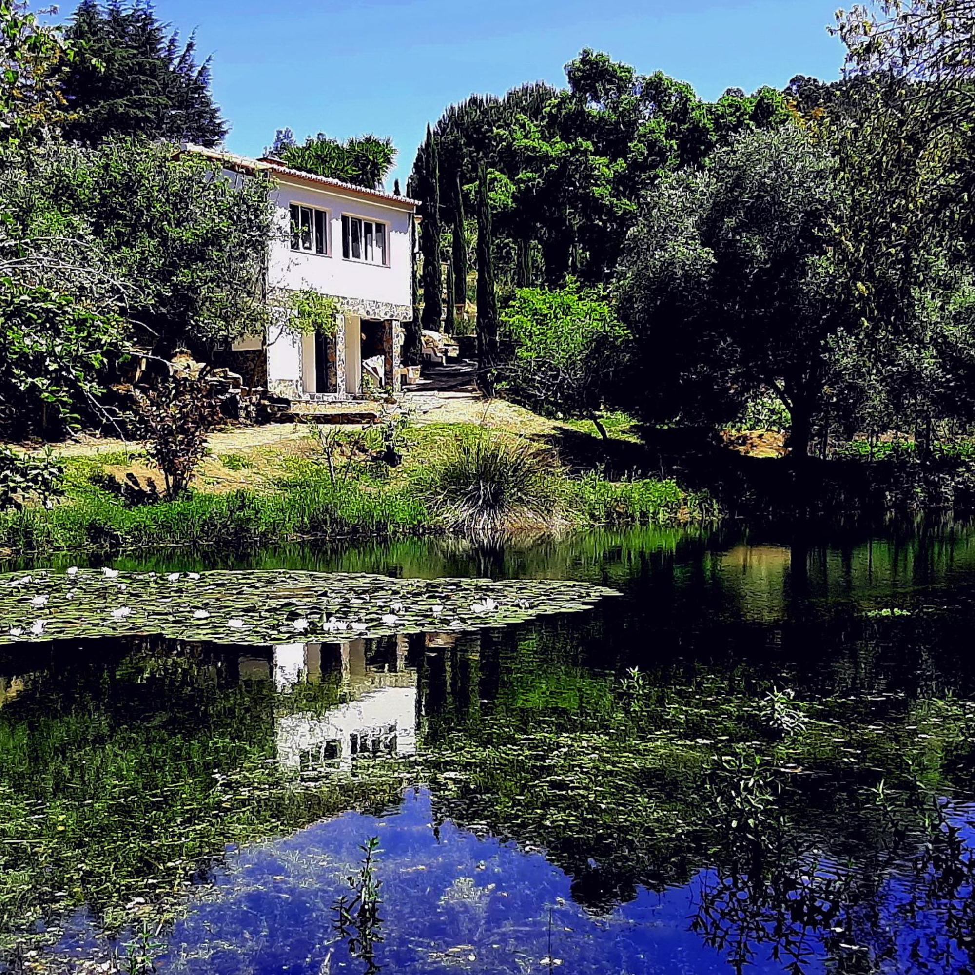 Casa Pavao Holiday home *