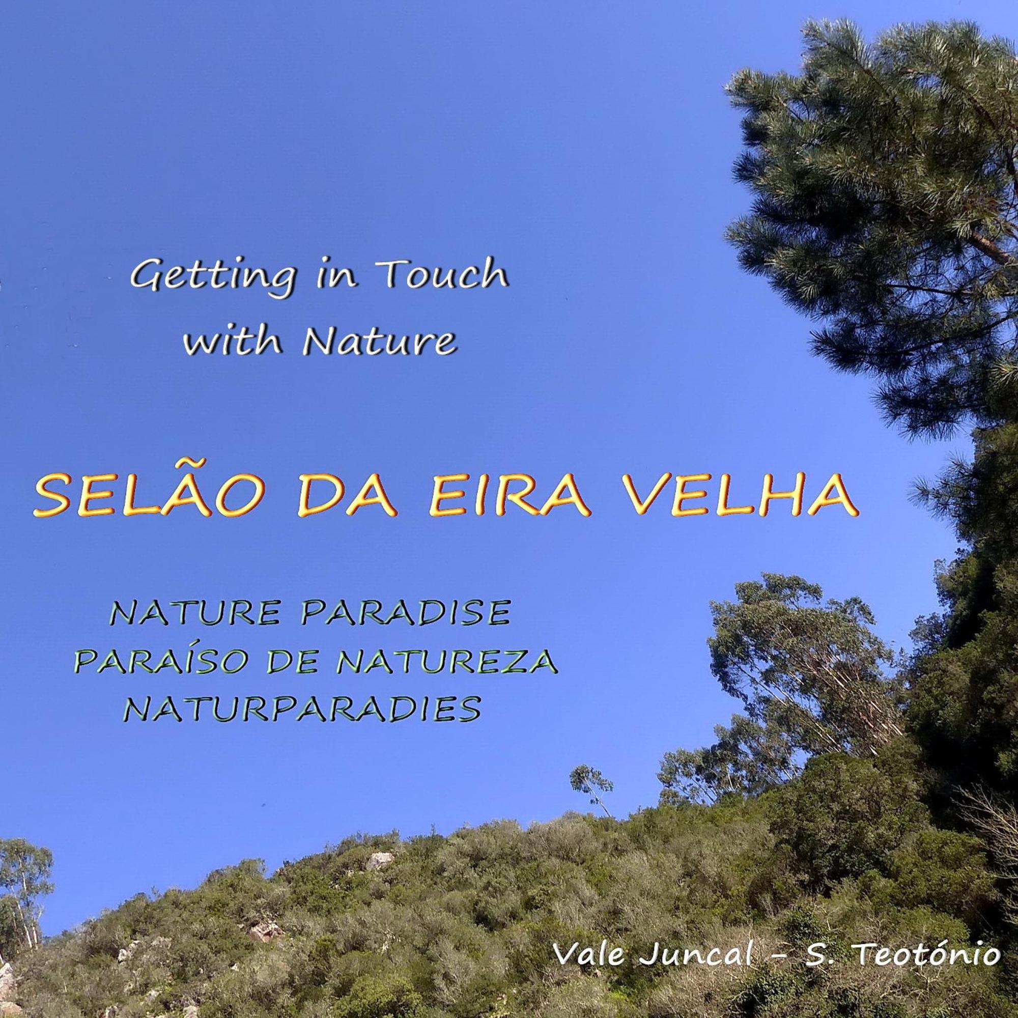 Casa Pavao Sao Teotonio