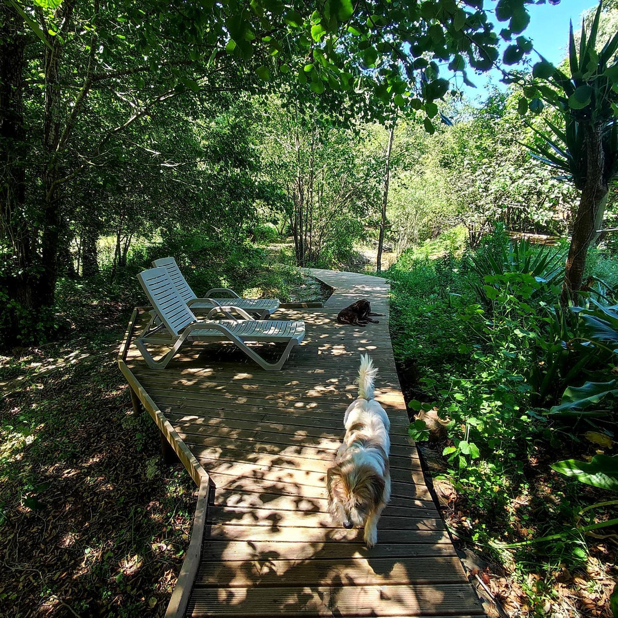 Casa Pavao *