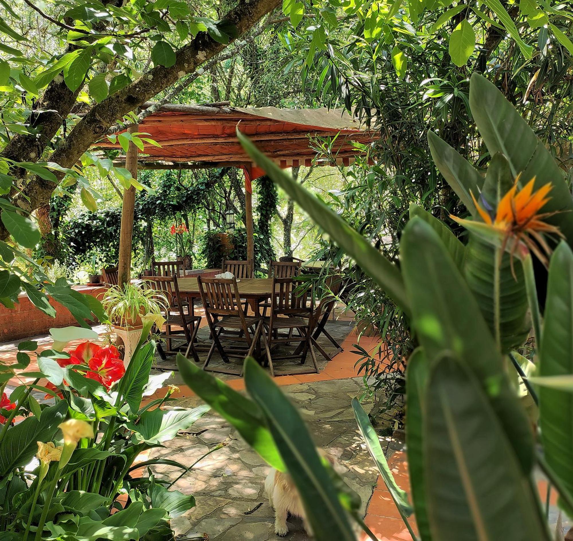 Casa Pavao Sao Teotonio
