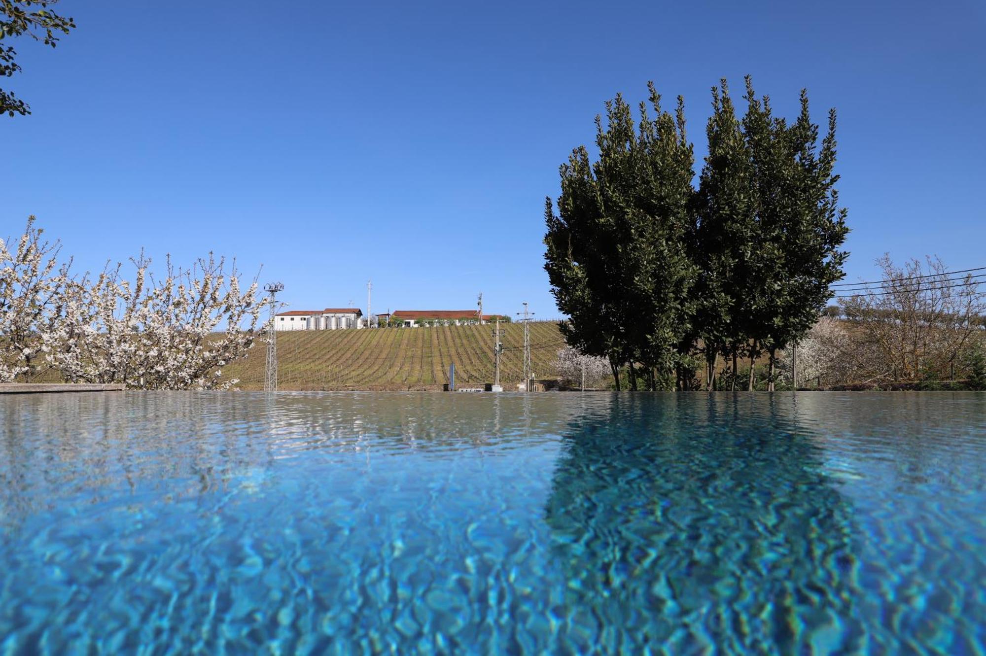 Estadia no rancho Quinta Vale De Sousa - Douro Valley