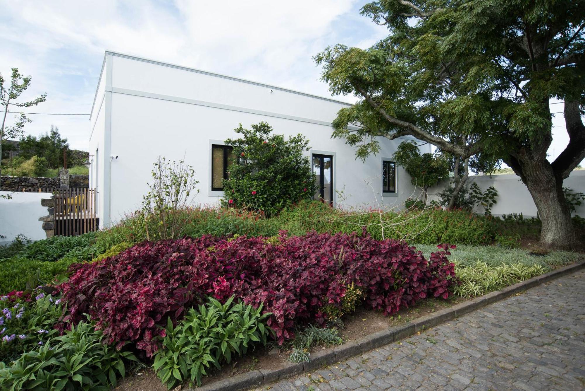 Guest house Green&houses Ponta Delgada (Sao Miguel)