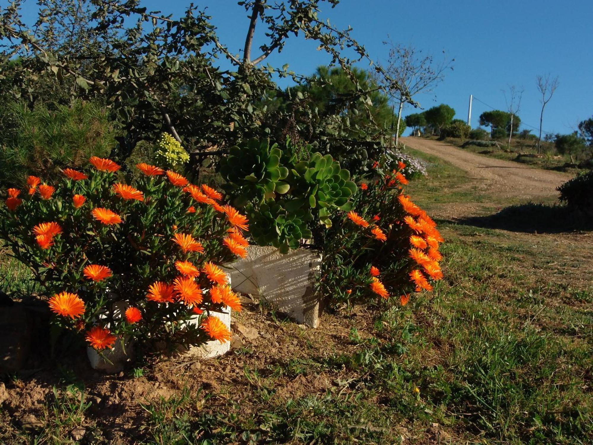 Ninho Da Poupa Country house