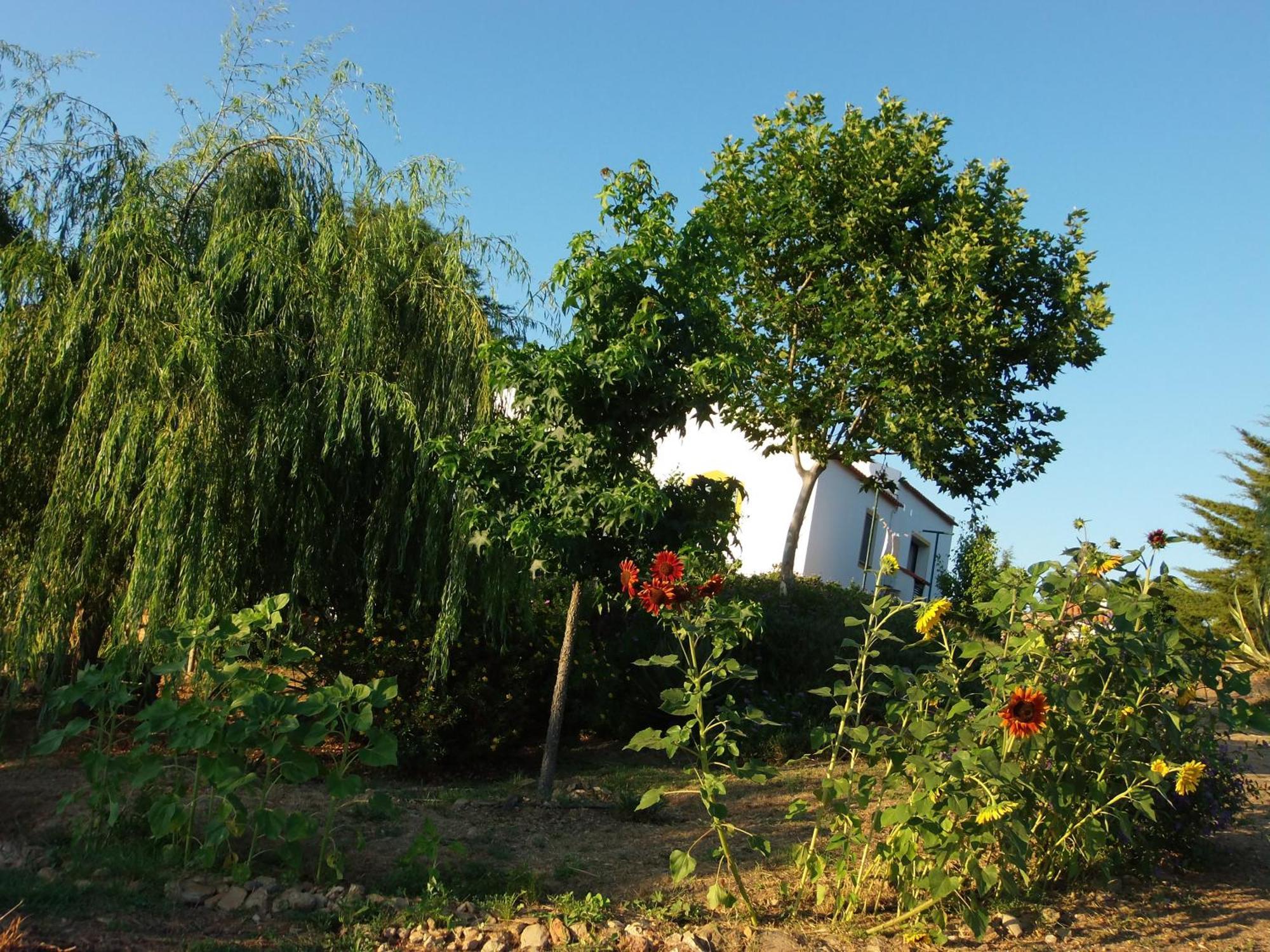 Country house Ninho Da Poupa Serpa