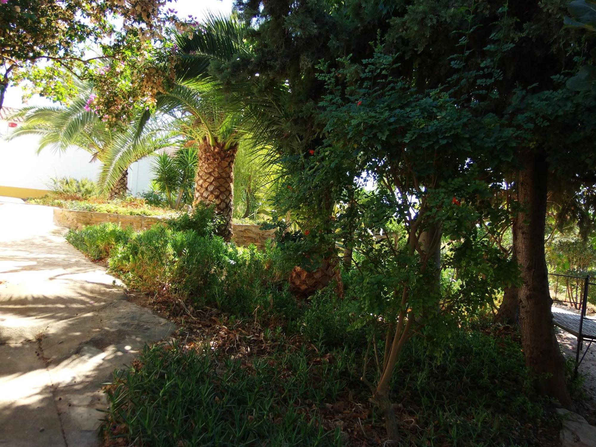 Country house Ninho Da Poupa