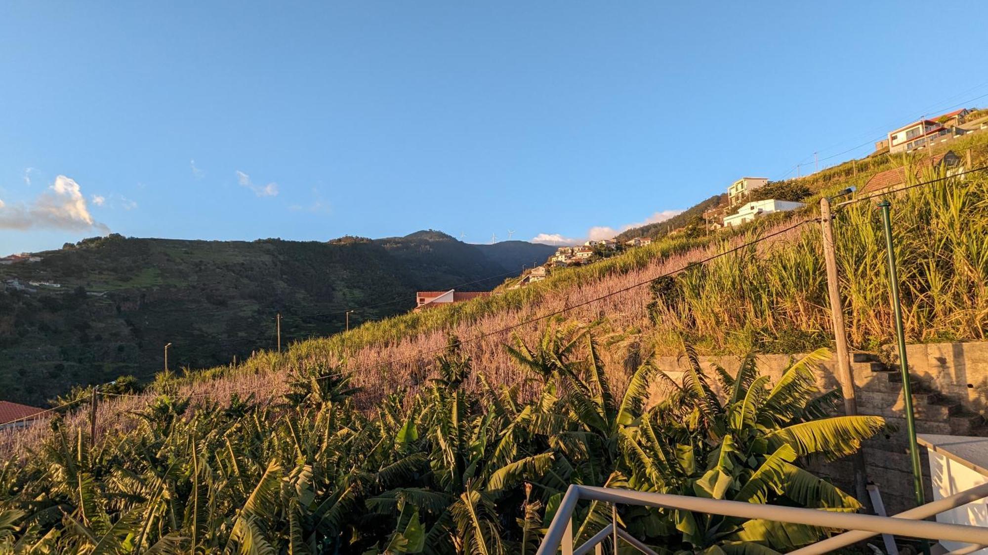Banana Tree House Vakantiehuis Ponta do Sol (Madeira)