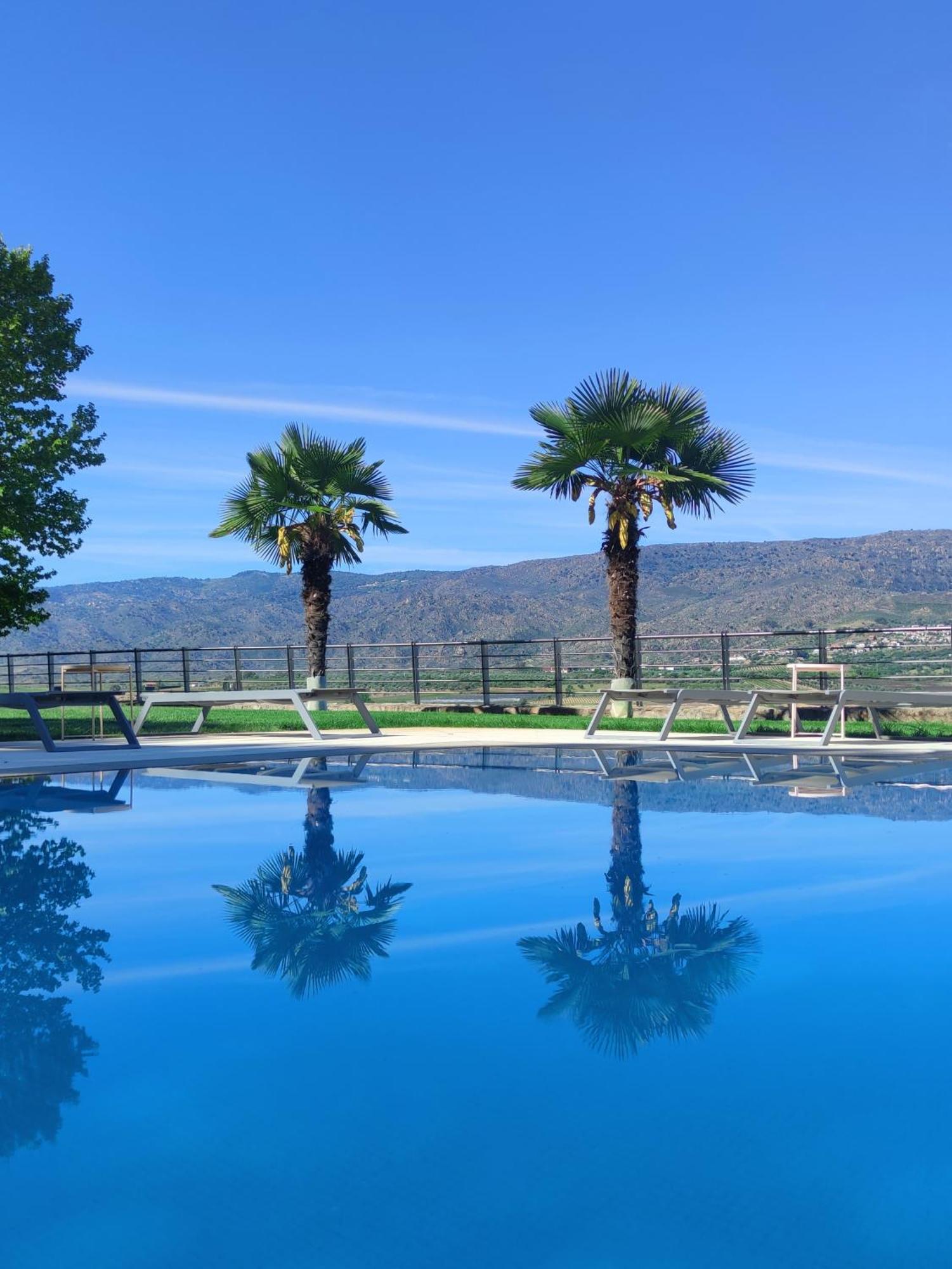Quinta Da Terrincha *