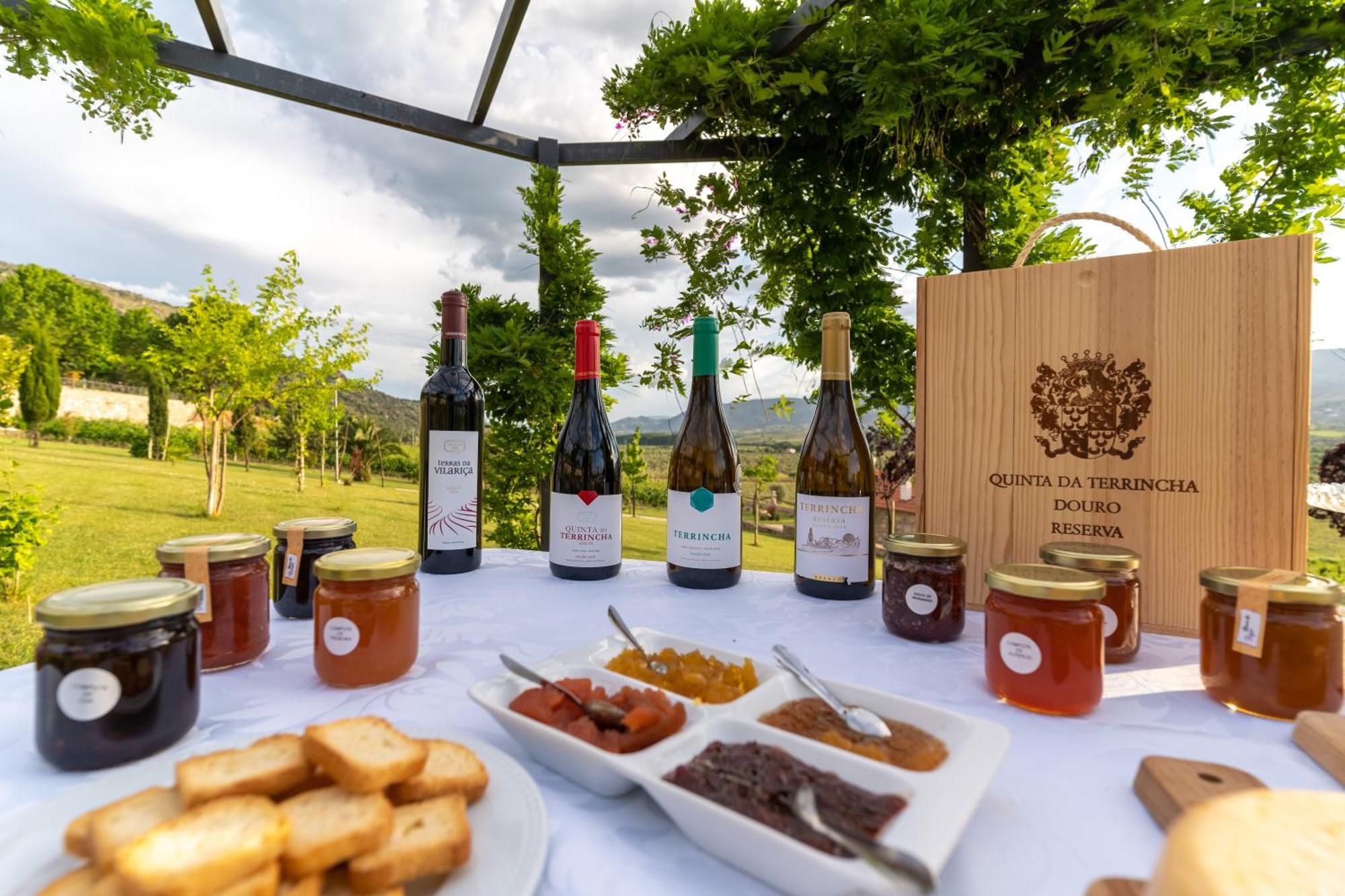 Quinta Da Terrincha Country house Torre De Moncorvo