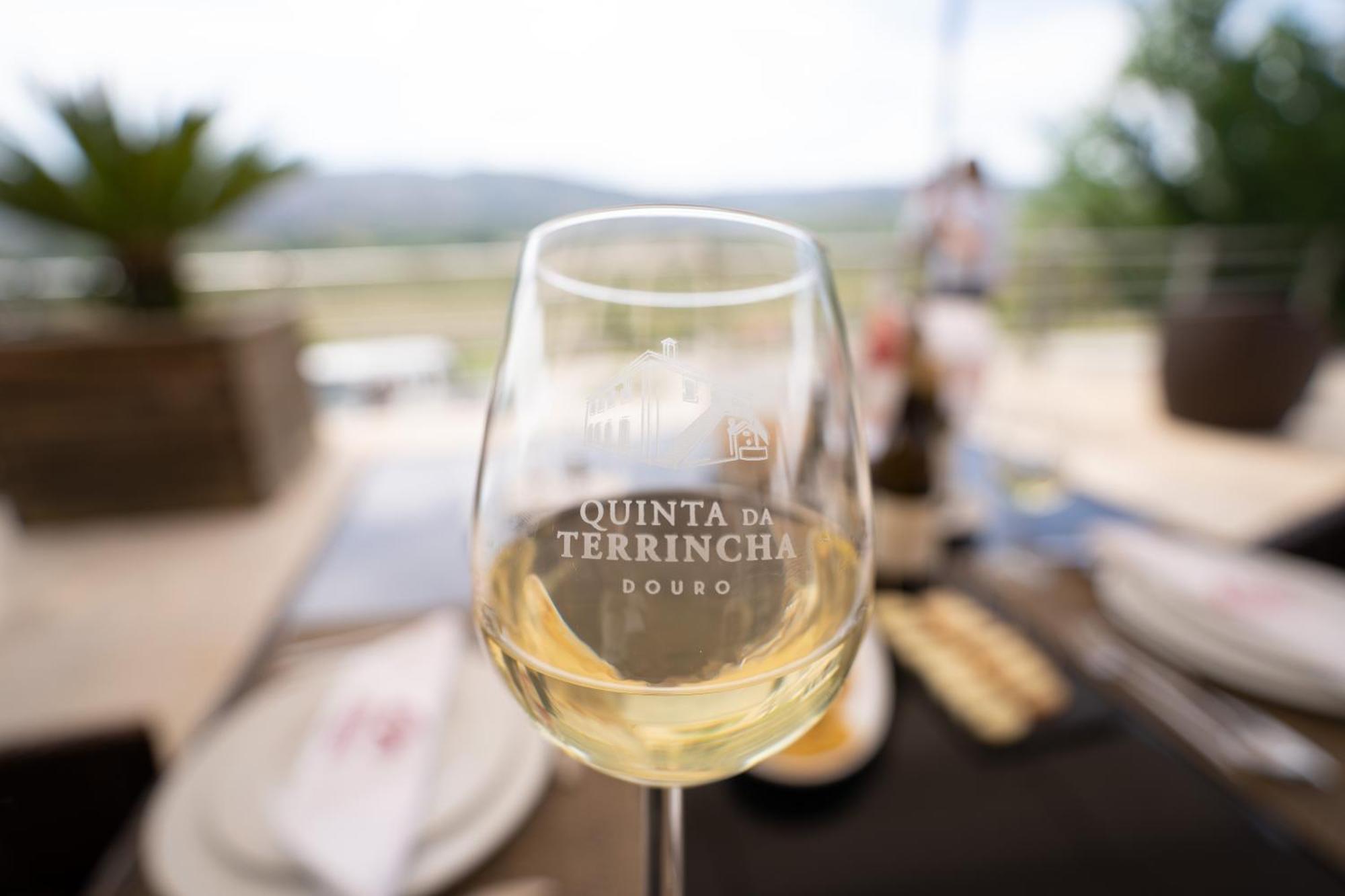 Quinta Da Terrincha Torre De Moncorvo