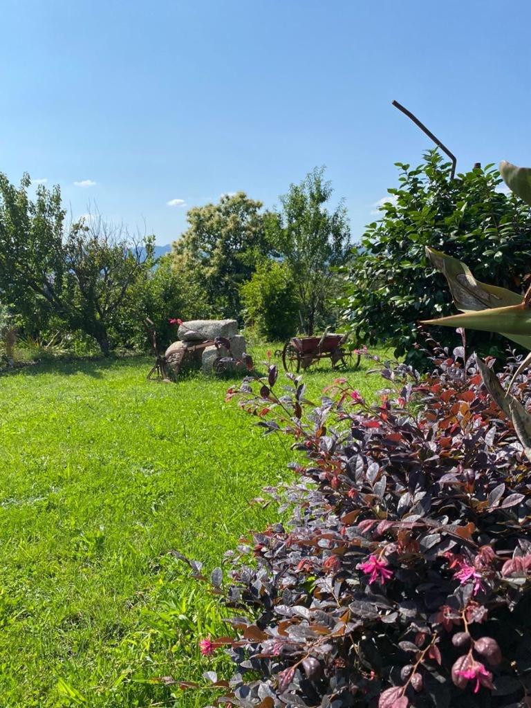 Quinta Da Tulha By Vimahotels Hotel