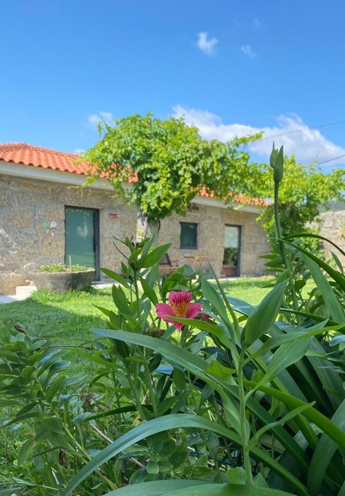 Quinta Da Tulha By Vimahotels Hotel