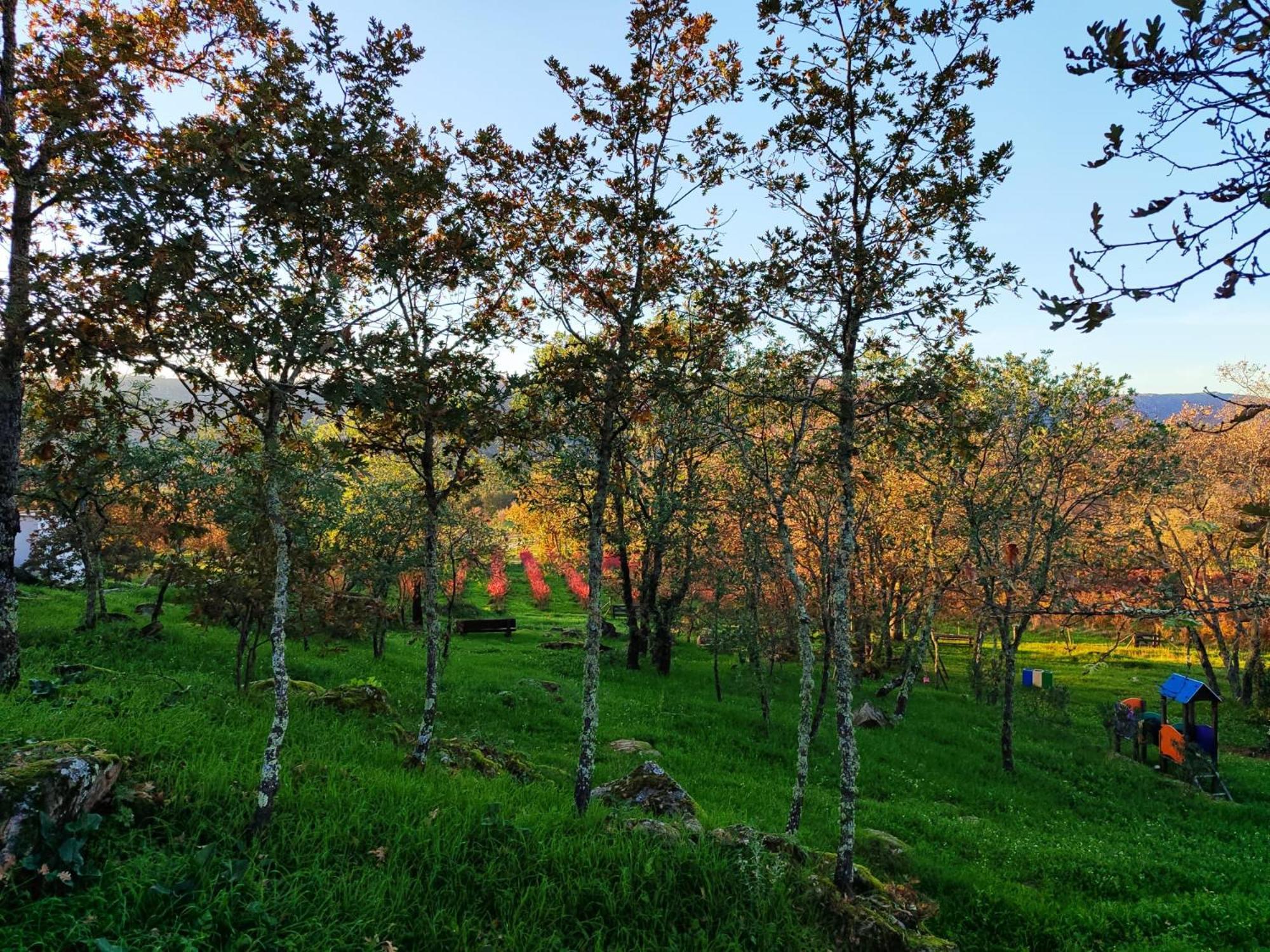 Quinta Dos Carvalhais - Serra Da Estrela * Fornos de Algodres