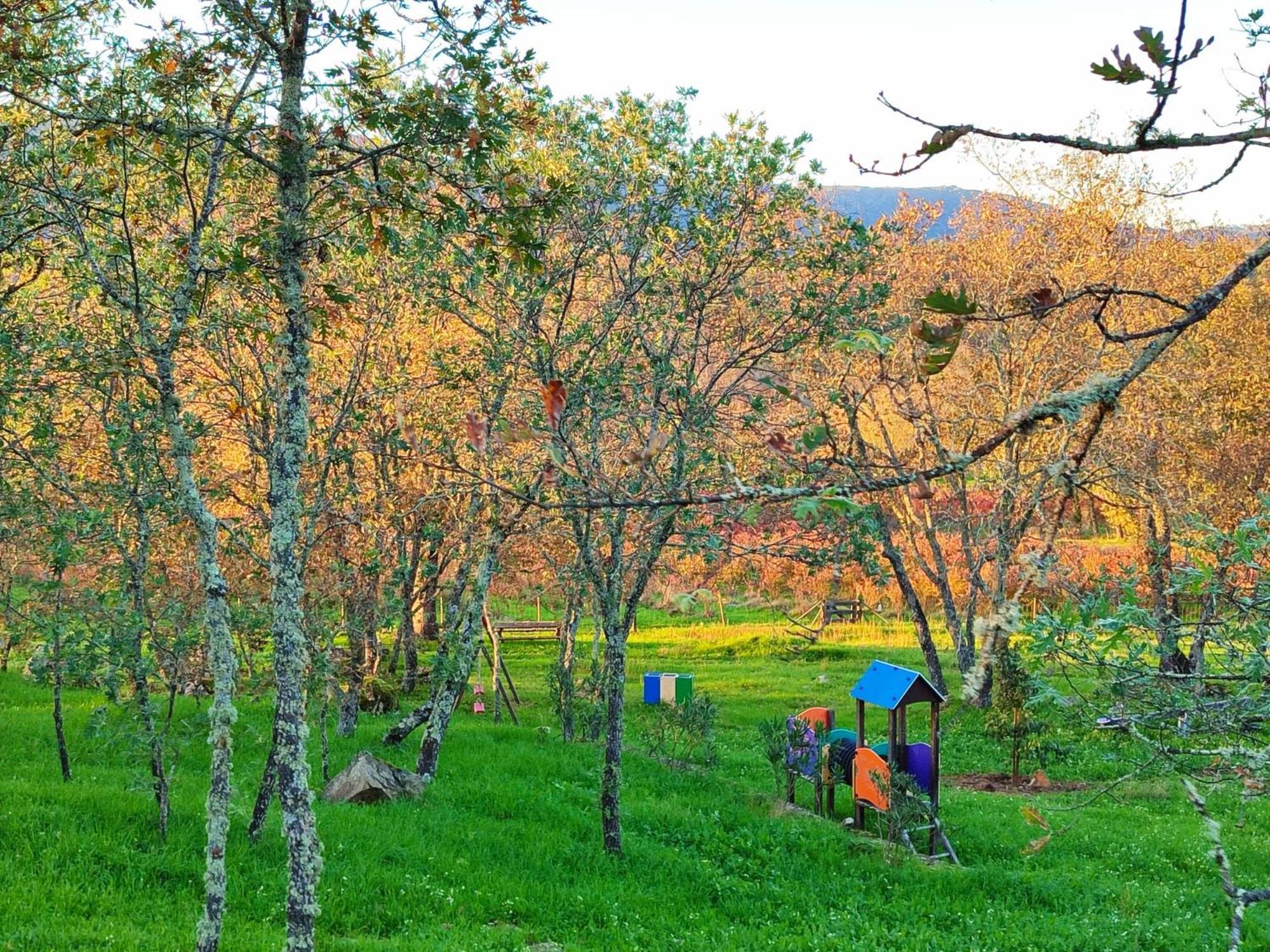 Vakantieboerderij Quinta Dos Carvalhais - Serra Da Estrela