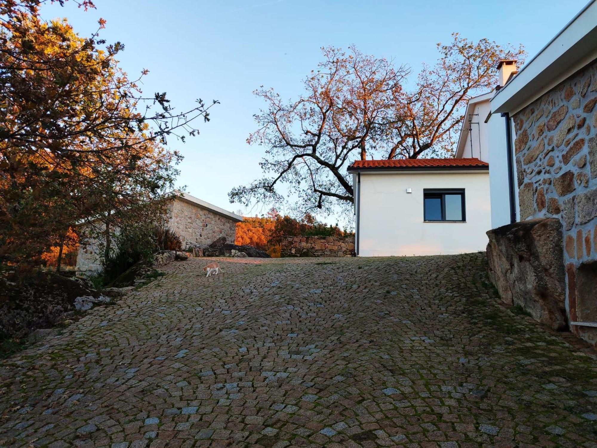 Quinta Dos Carvalhais - Serra Da Estrela *