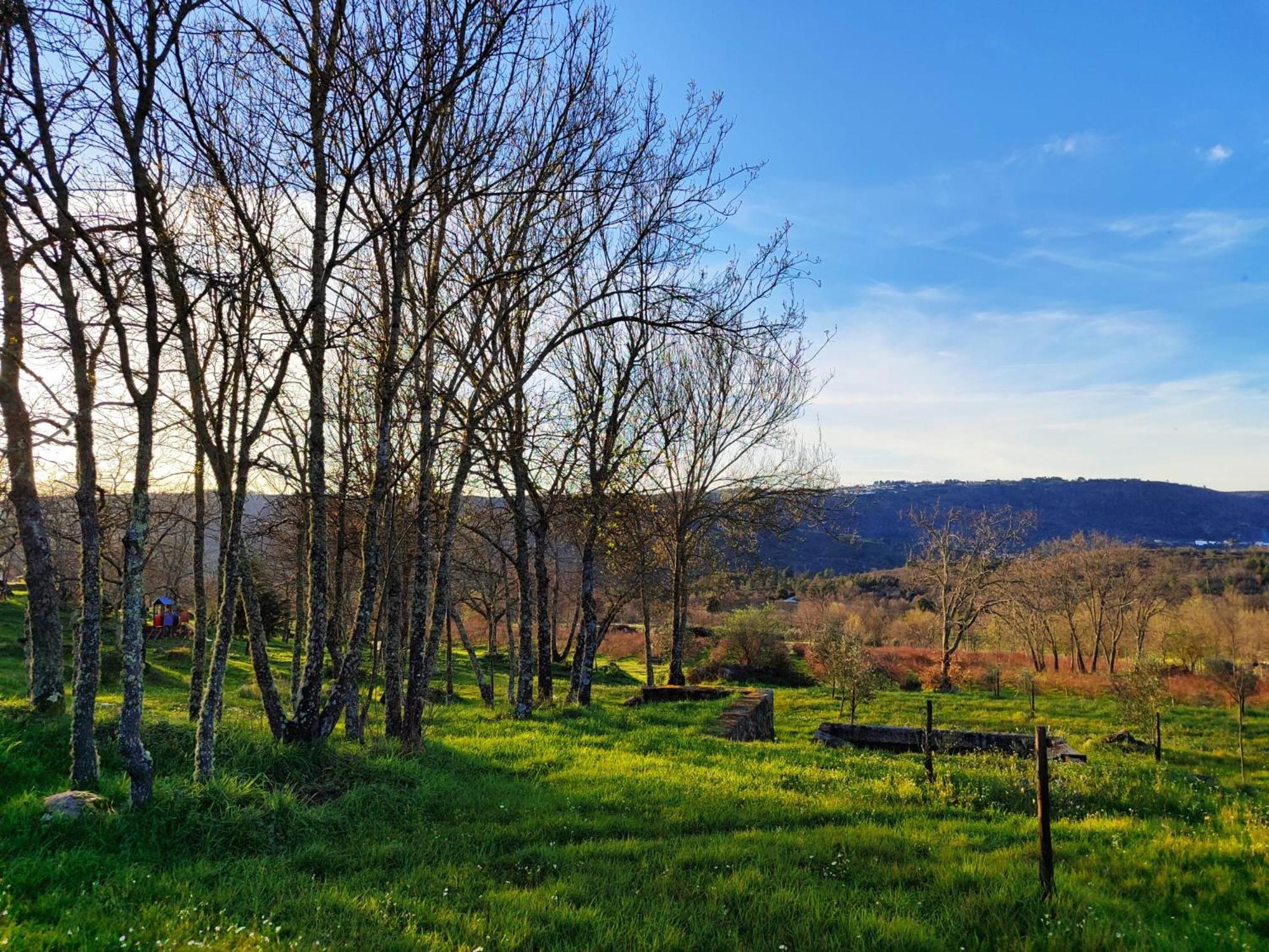 Quinta Dos Carvalhais - Serra Da Estrela Vakantieboerderij
