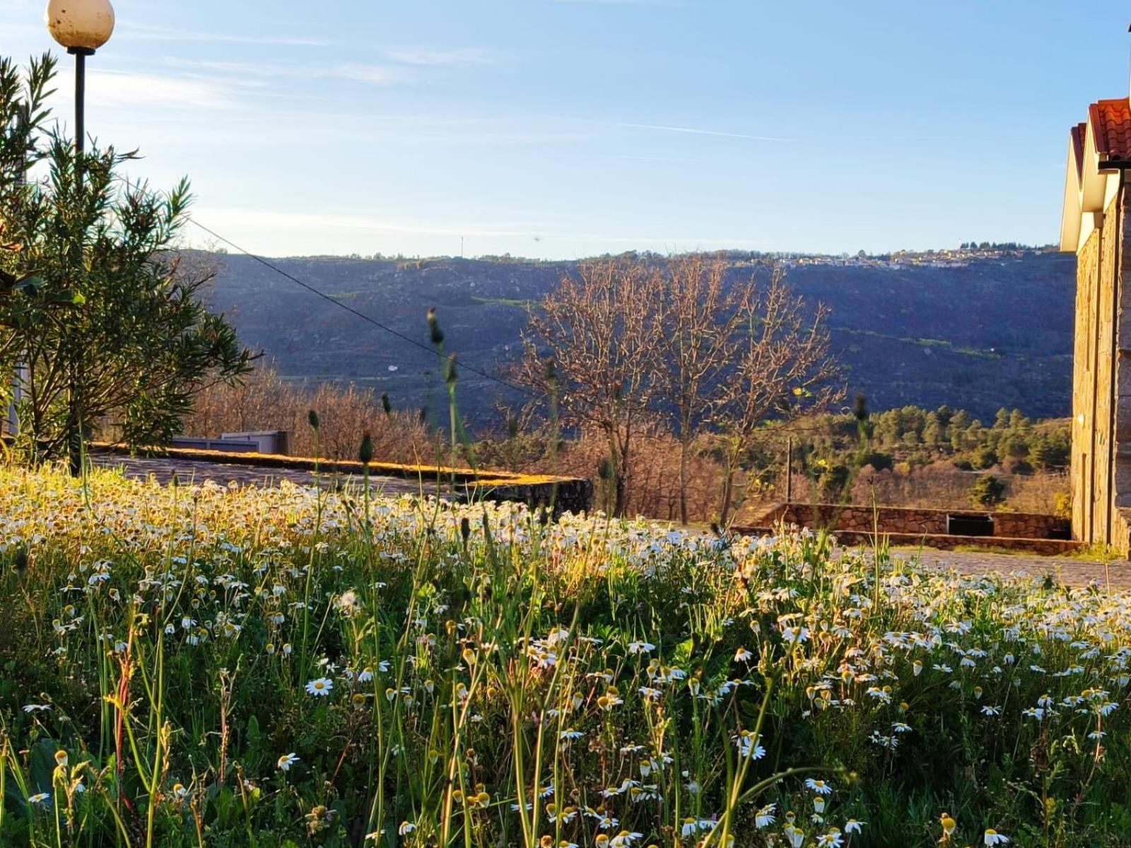 Agroturismo Quinta Dos Carvalhais - Serra Da Estrela Fornos de Algodres
