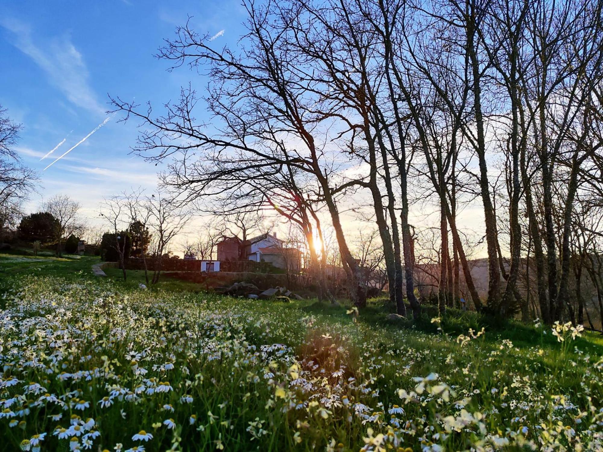 Agroturismo Quinta Dos Carvalhais - Serra Da Estrela