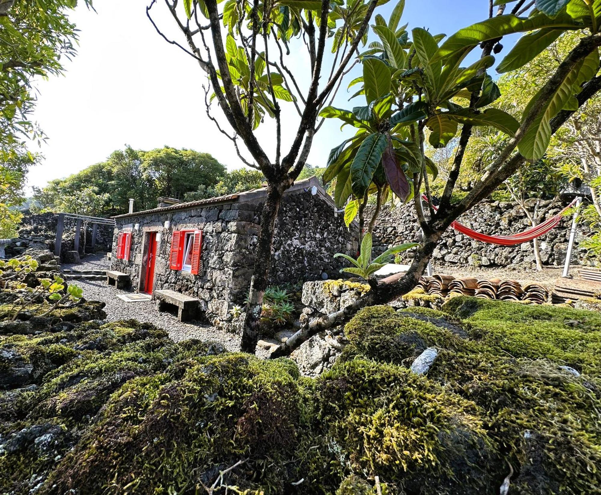 Adega Baia Azul - The Essence Of Pico Chalet *