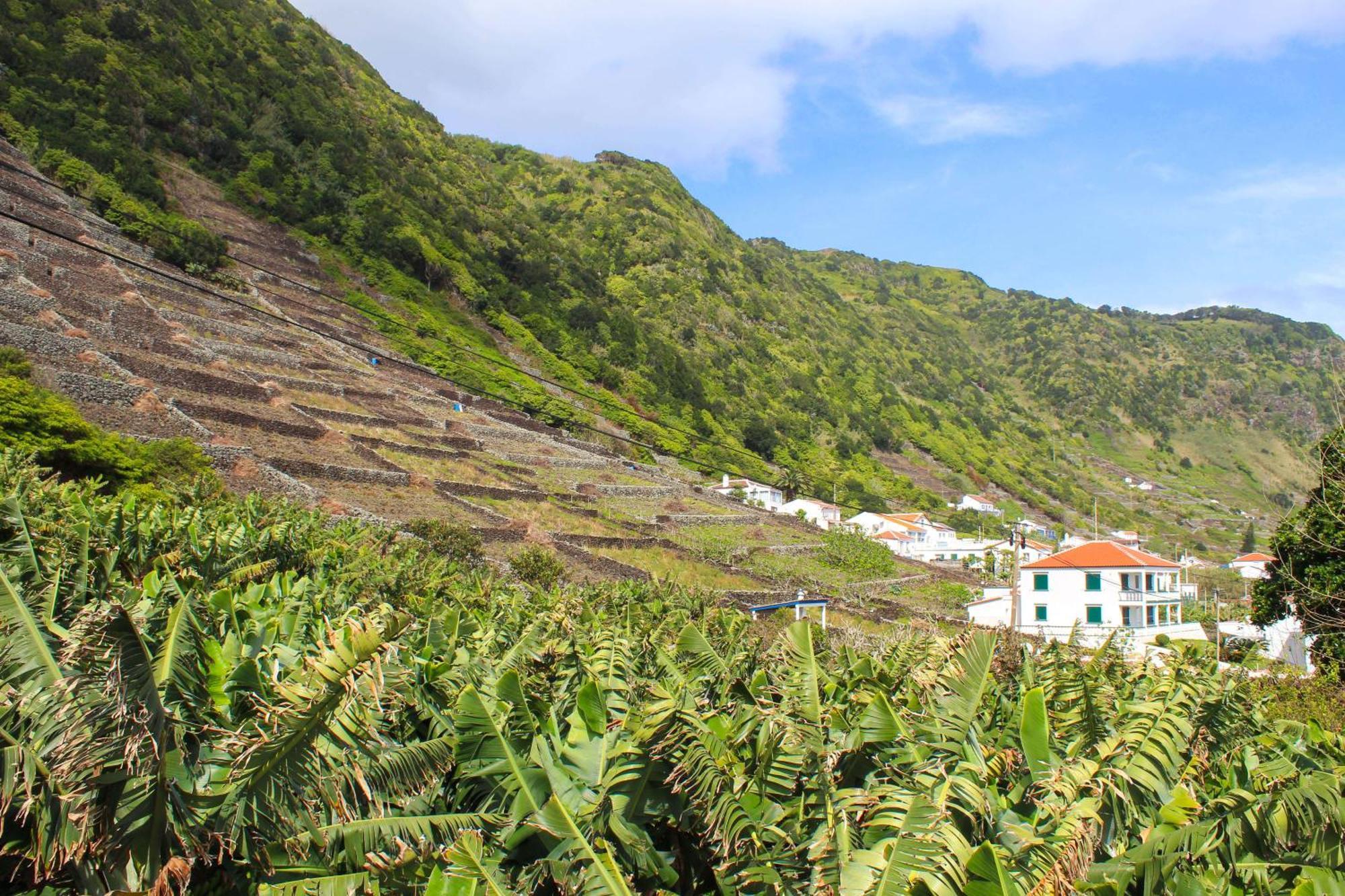 Casa Dos Magalhaes Holiday home