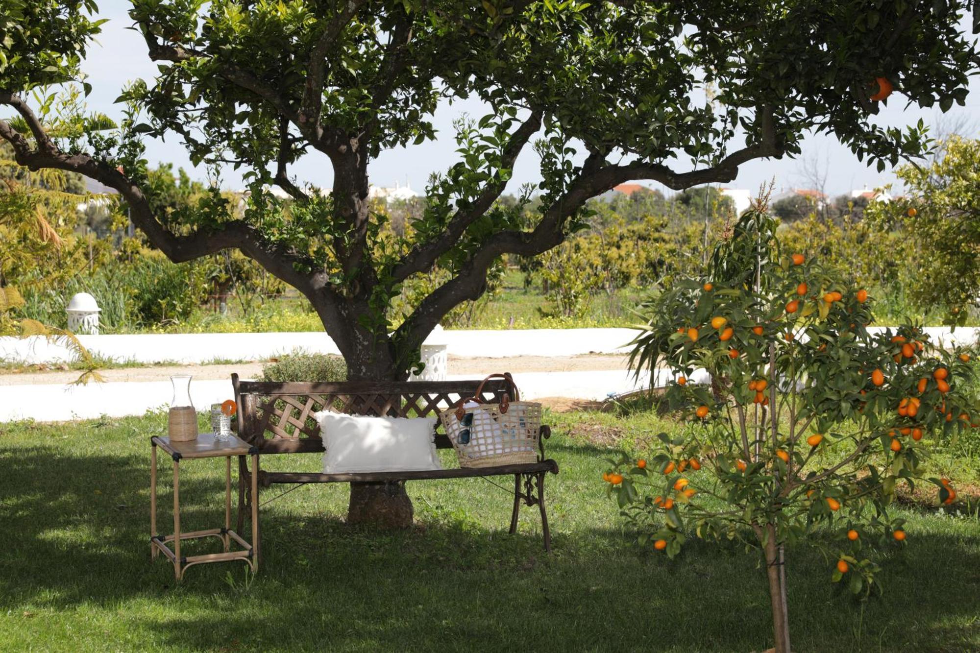 Quinta Baltazar