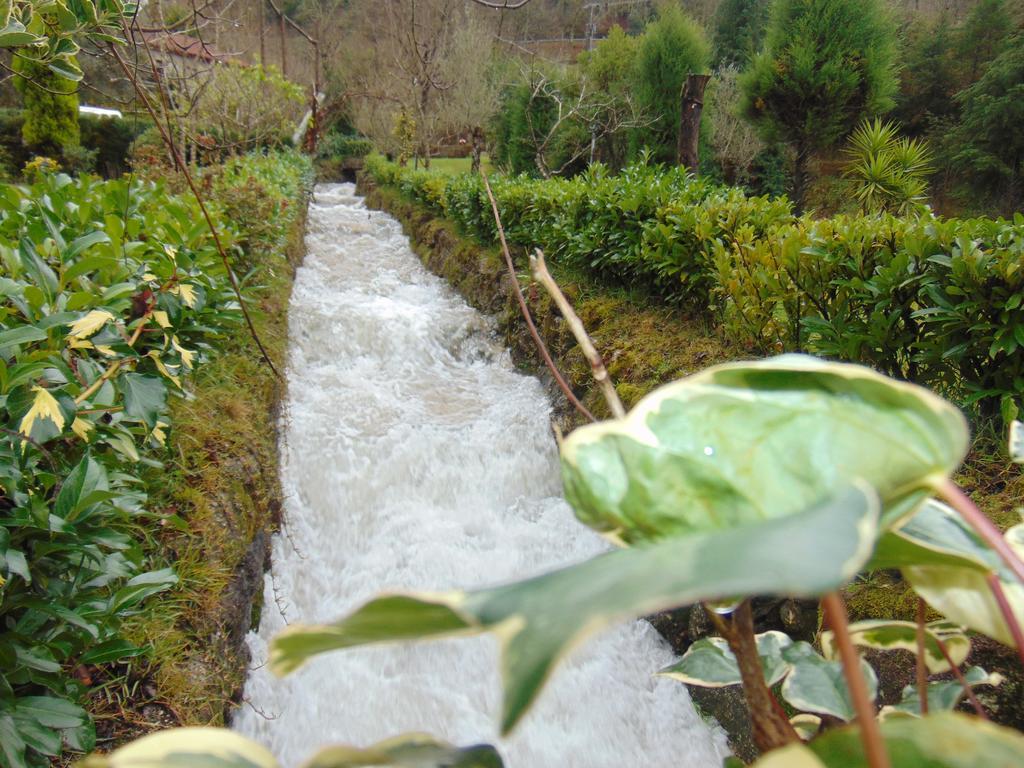 Quinta De Barbedo - Farm stay