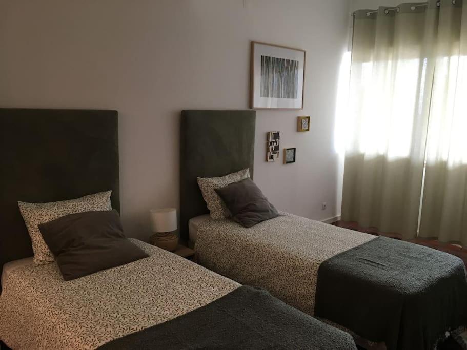 Apartamento Casa Pedra Do Sal