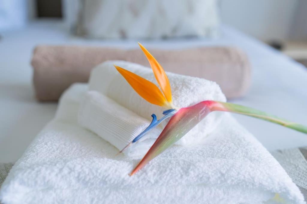 Sealavie Apartment Funchal (Madeira)