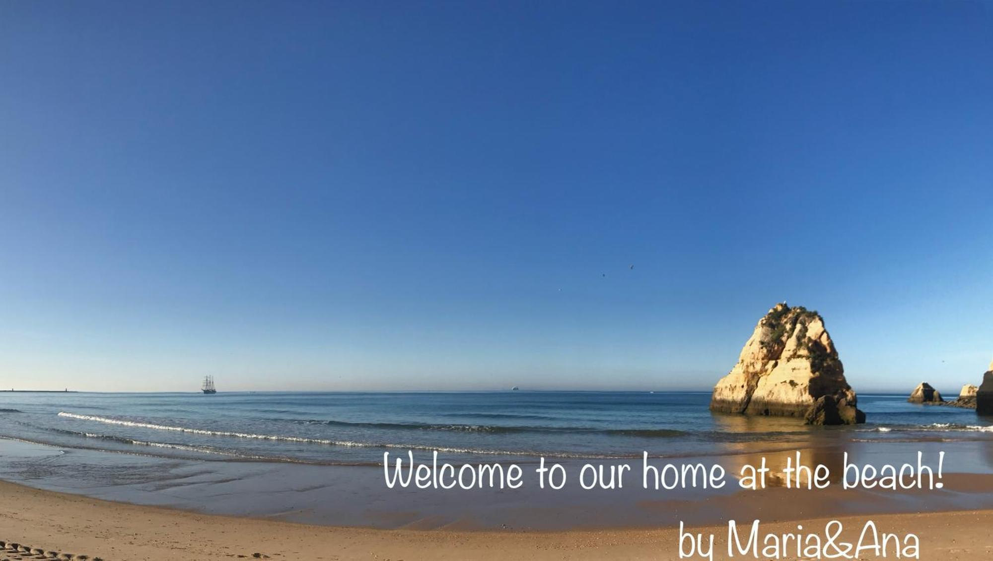 Apartment Lovely Beachfront With Aircon/wifi