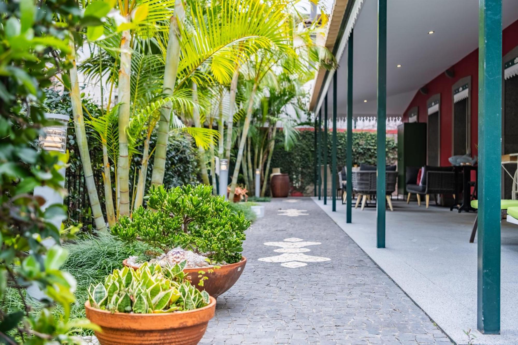 Apartment Quinta Da Tia Briosa By Madeira Sun Travel