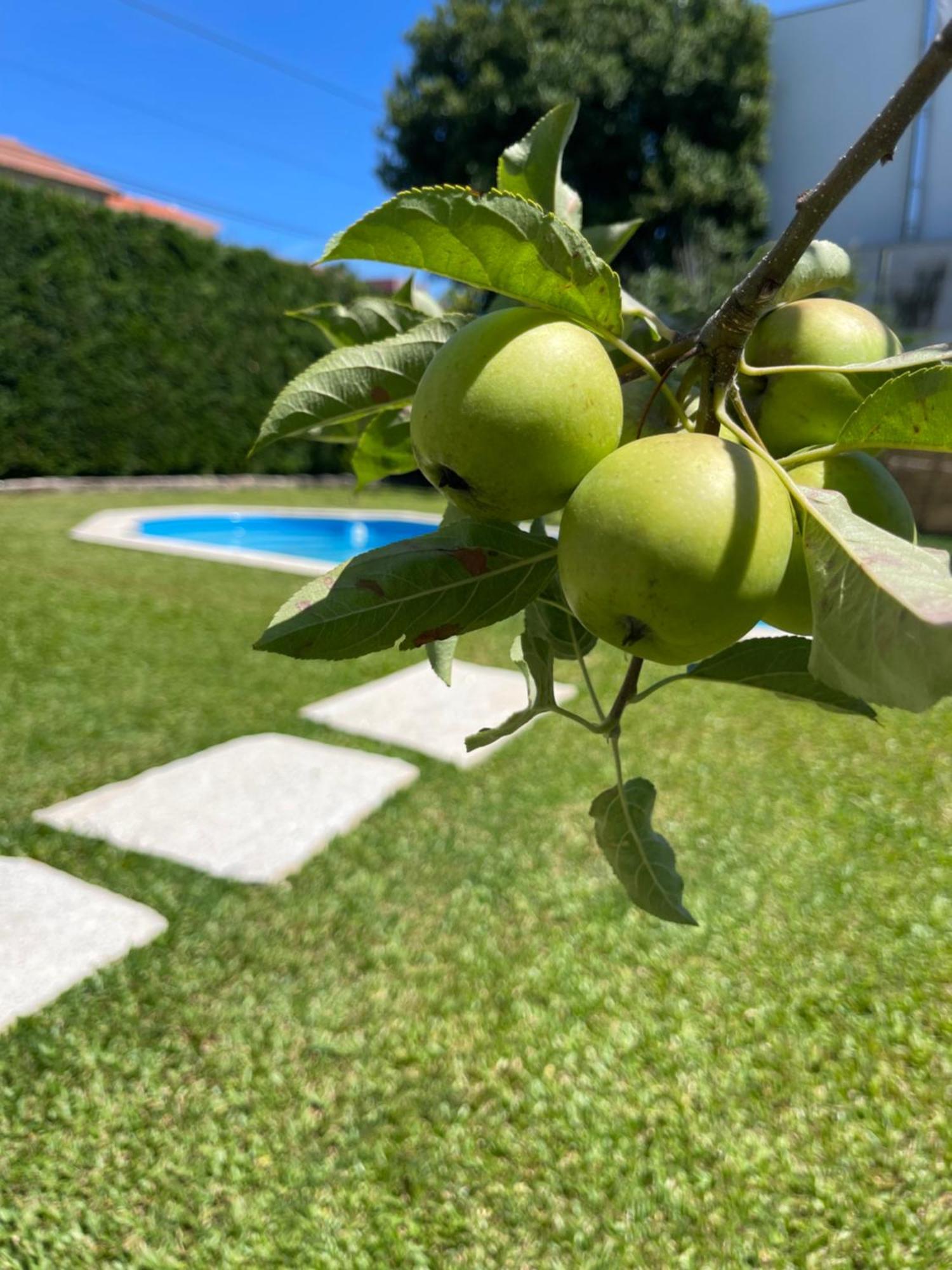 Сasa de vacaciones Casa Do Albano Viana do Castelo