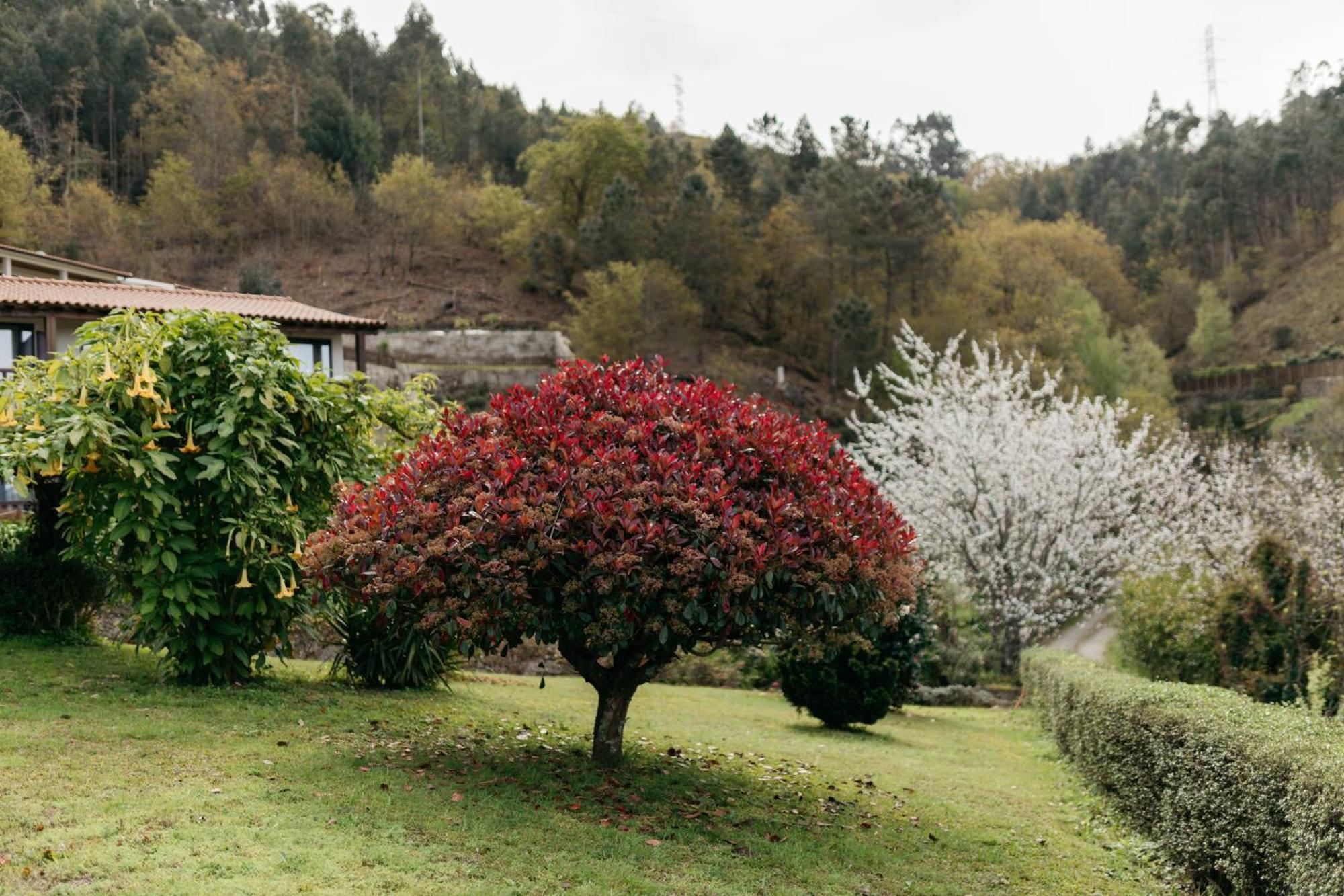 Quinta Do Bento Guest house Vieira do Minho