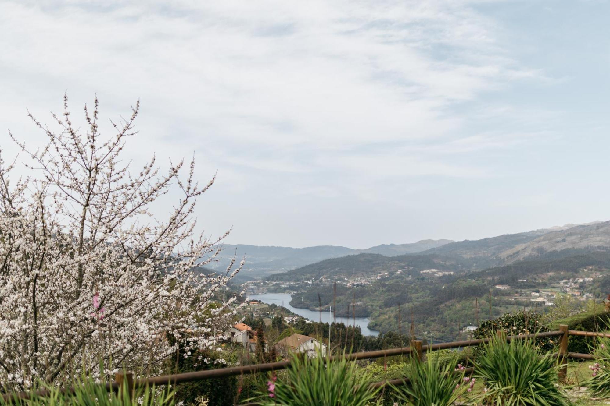 Guest house Quinta Do Bento Vieira do Minho