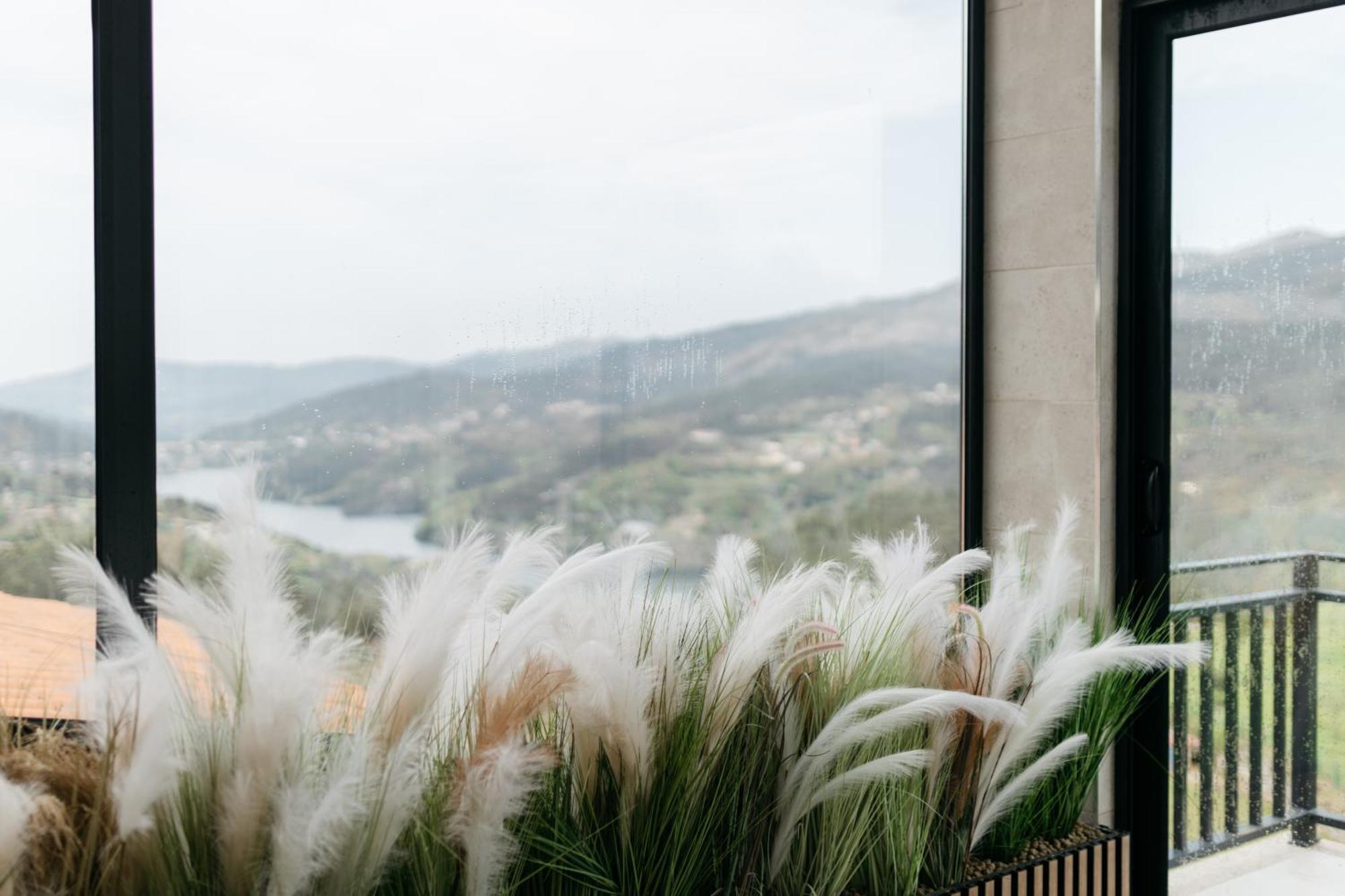 Quinta Do Bento Guest house