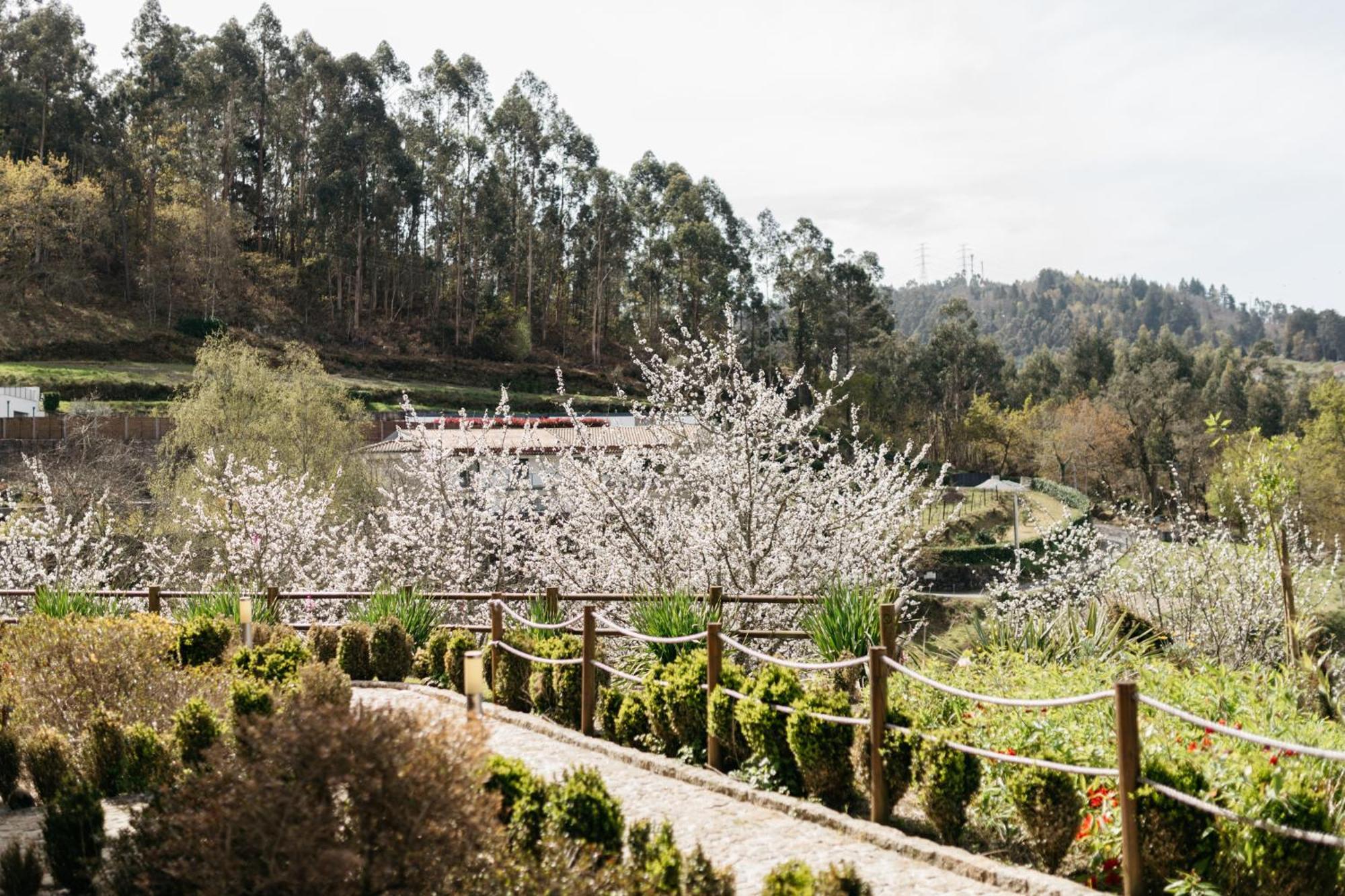 Quinta Do Bento * Vieira do Minho