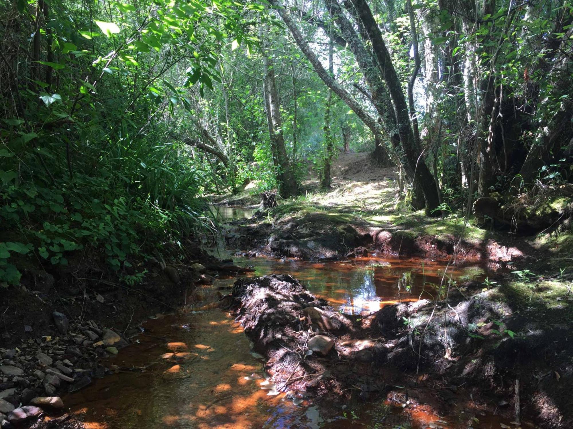 The Stream House - Montes Da Ronha *